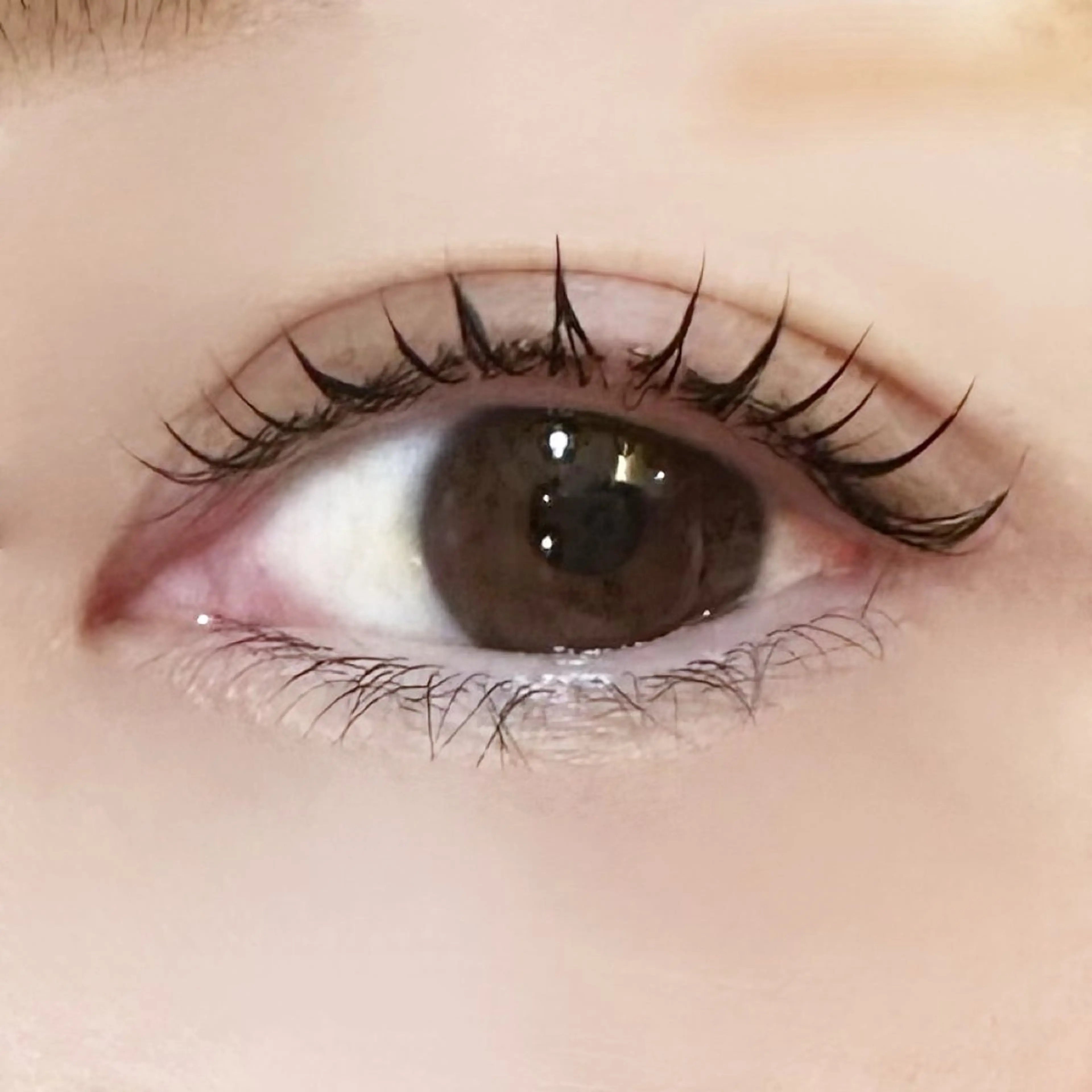 マスカラパーマ🖤の写真