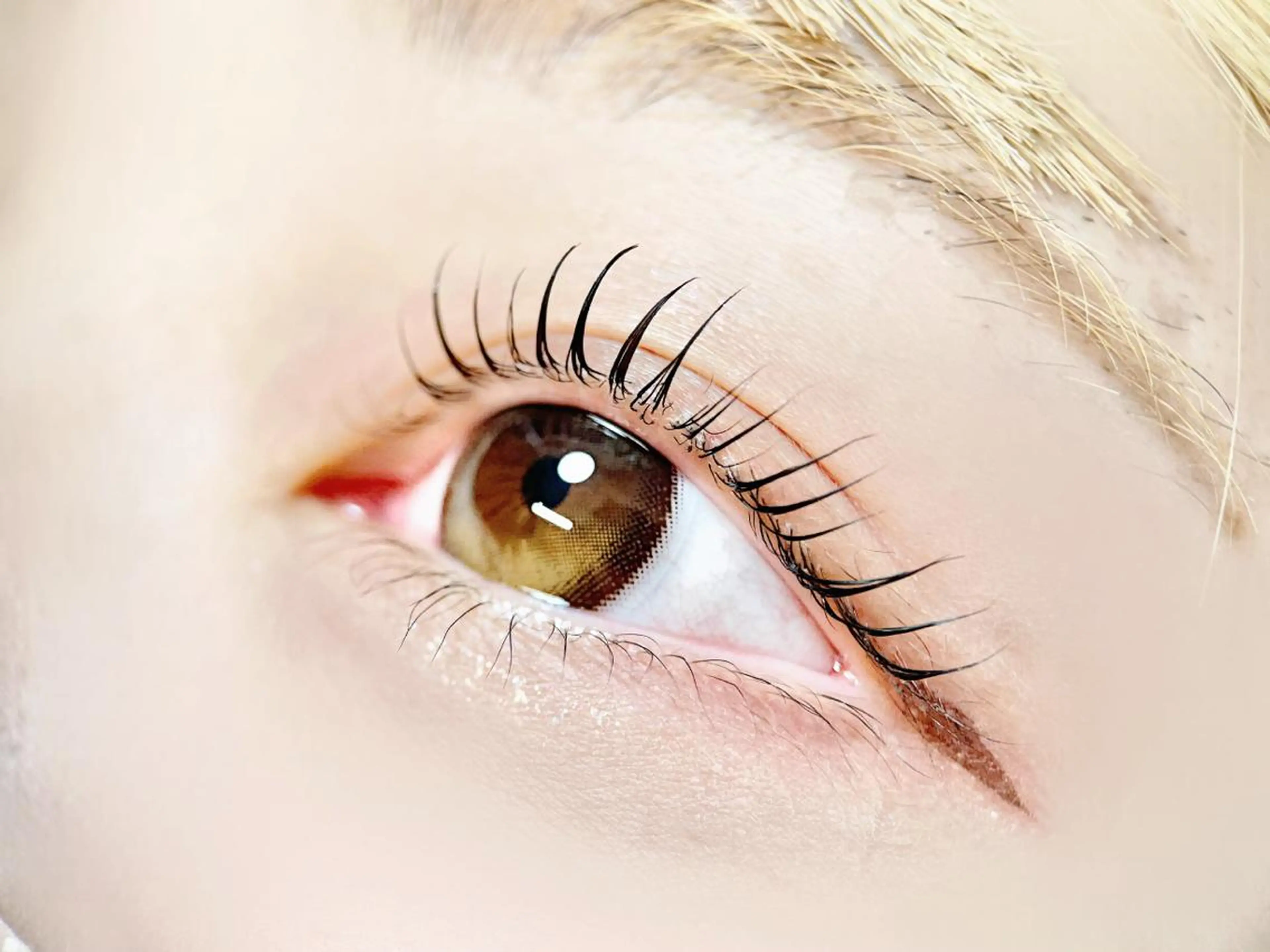 【OPEN記念】上まつげパーマ☆カールデザイン¥4200→ ¥3700　[池袋]の写真