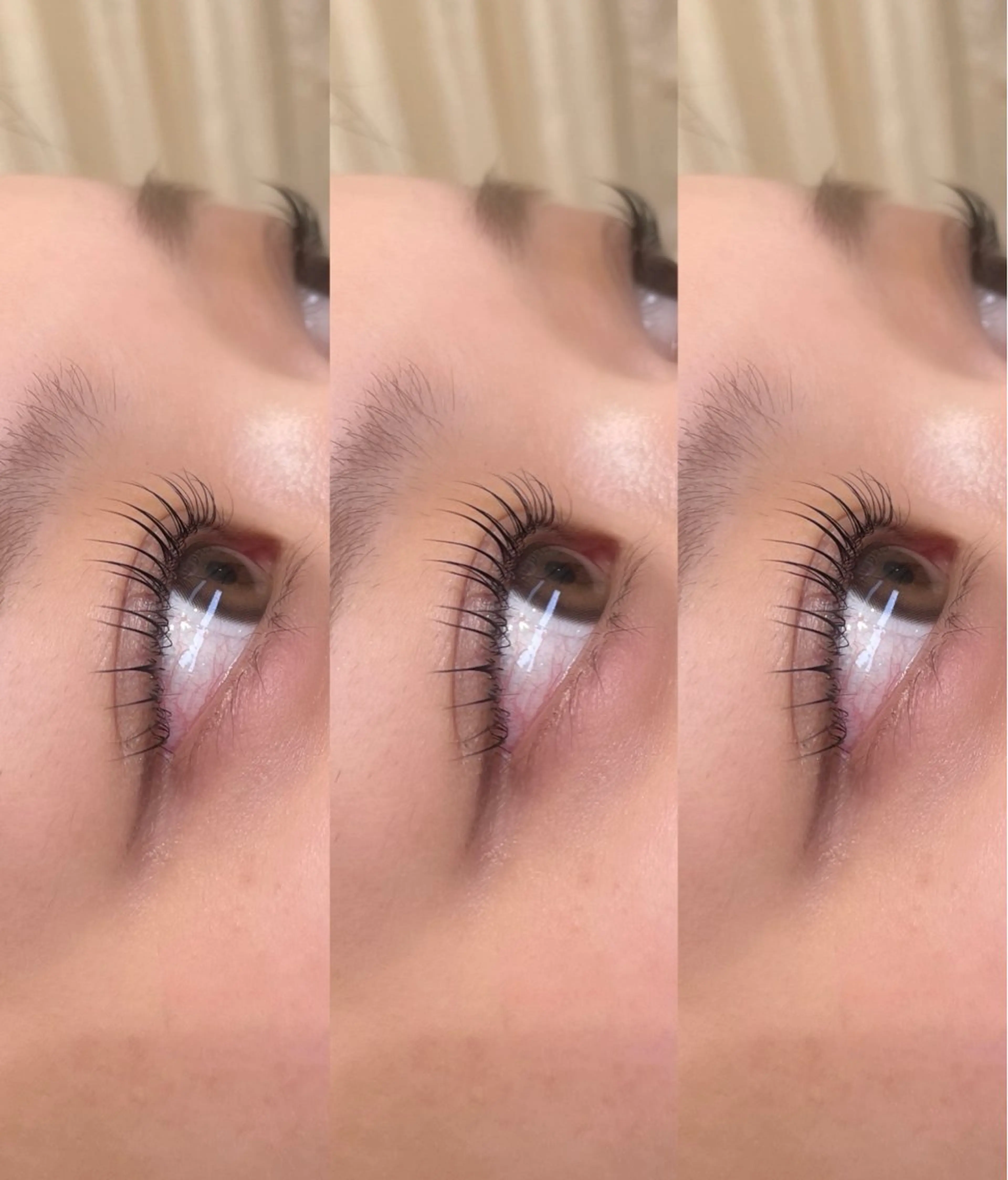 【撮影OKの方限定✨】ラッシュリフト 🪞の写真