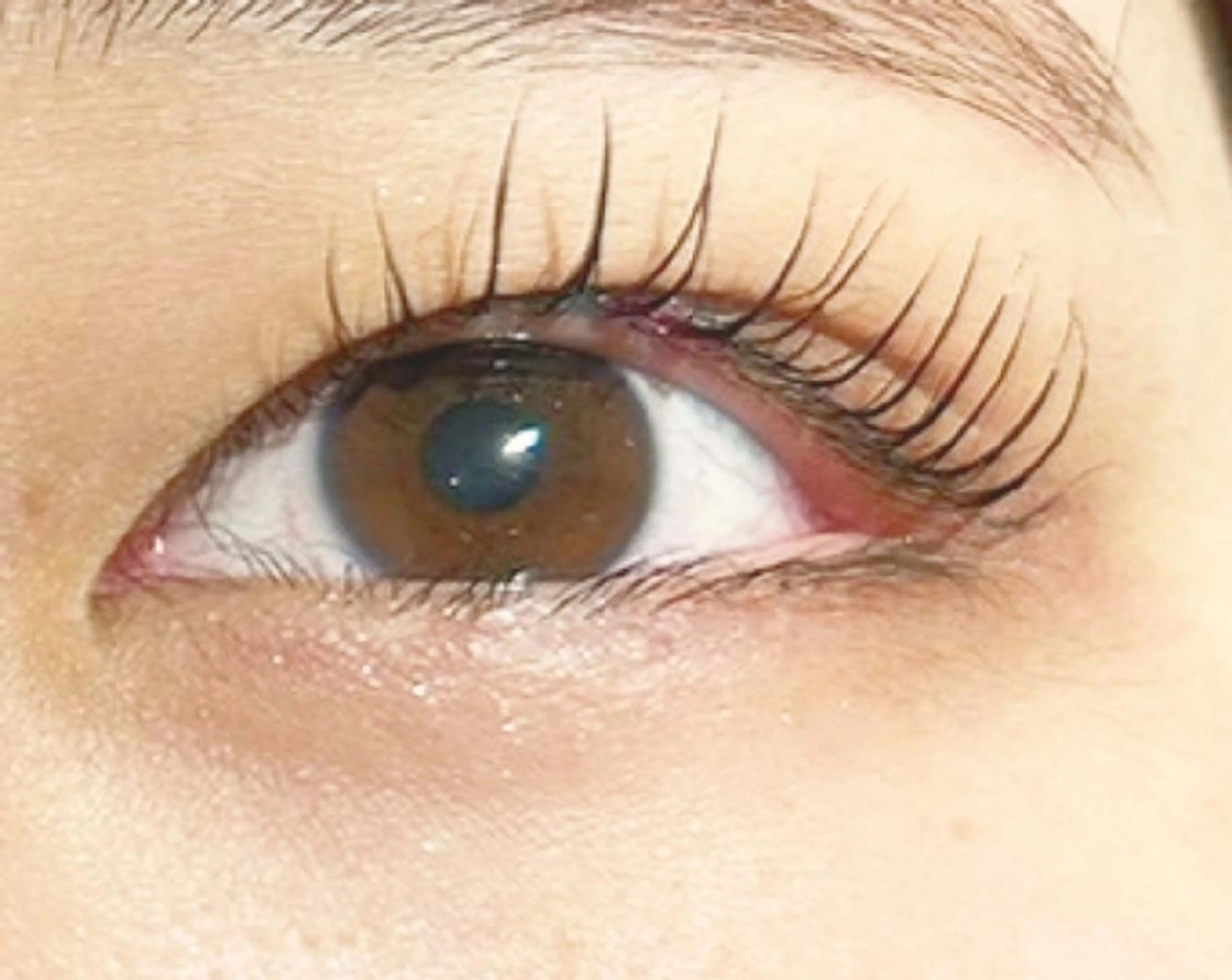 マツエク・マツパ PLATINUM DOLL yunaのマツエク・マツパデザイン