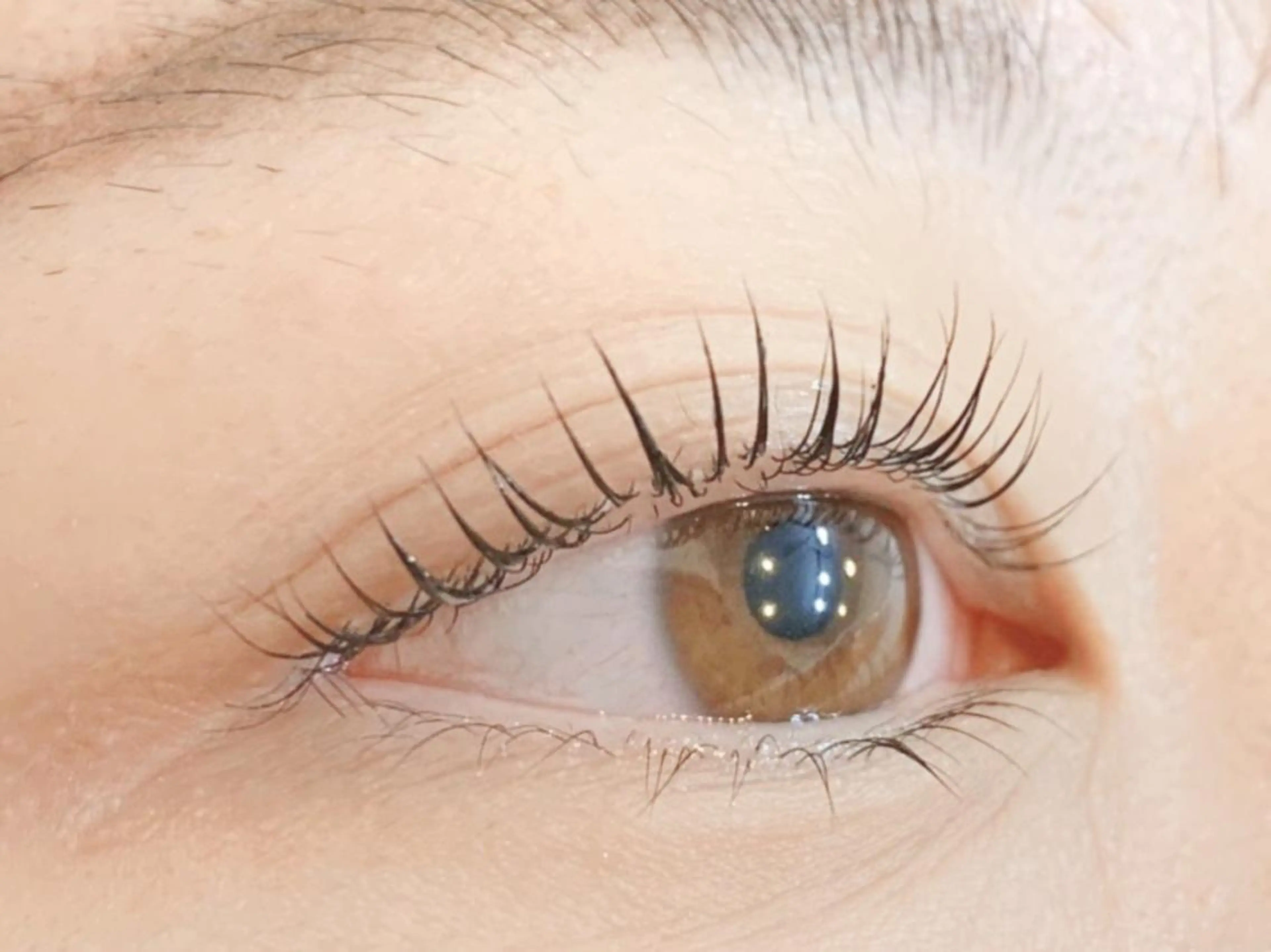 エクステをお休みされる方《エクステオフのみ⭐️》の写真