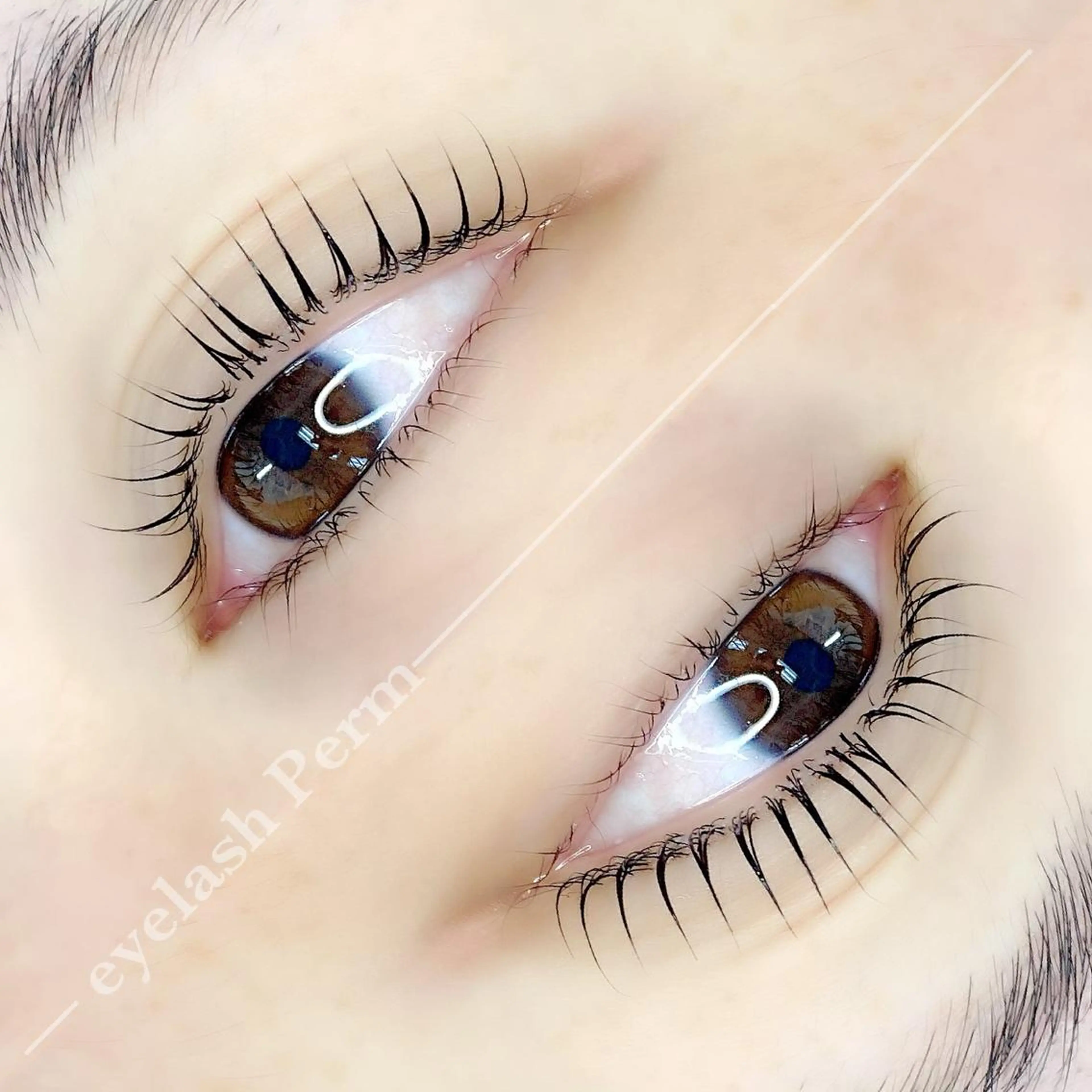 マツエク・マツパ まつげパーマ LAND【ランド】 小鹿のマツエク・マツパデザイン