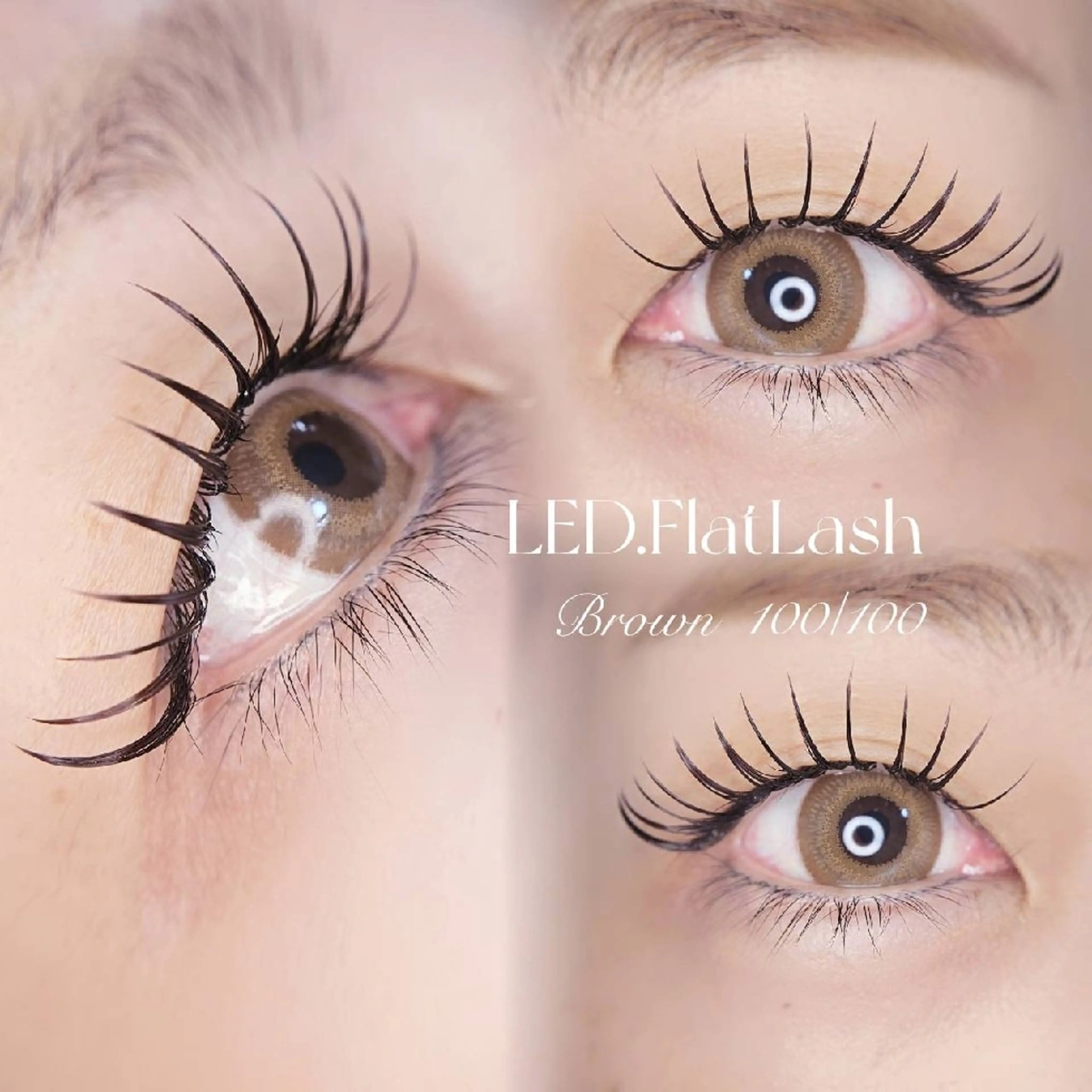 マツエク・マツパ 付け放題 フラットラッシュ Cia U. eyelashのマツエク・マツパデザイン