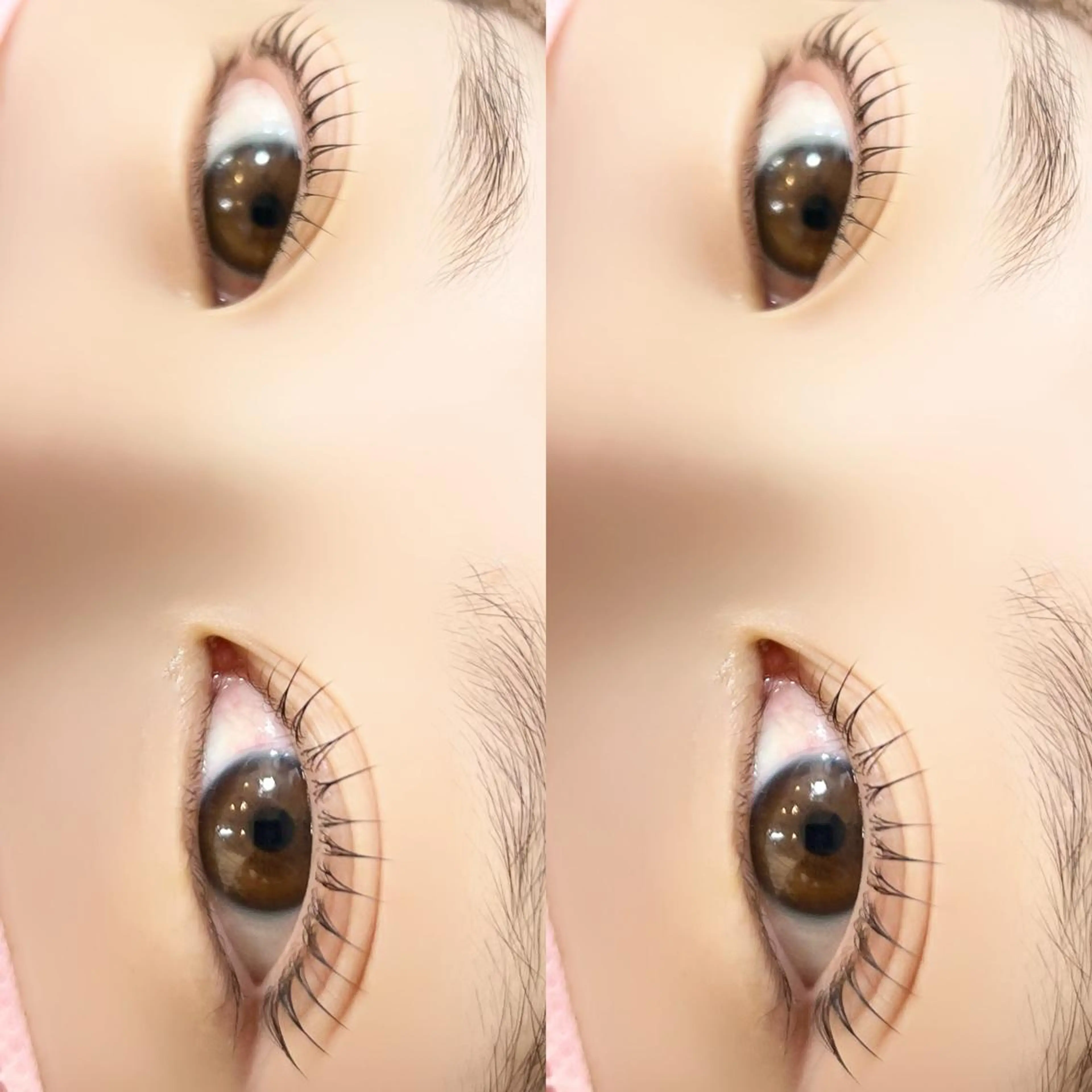 マツエク・マツパ パリジェンヌラッシュリフト 【myonsil】 Suzuki*のマツエク・マツパデザイン