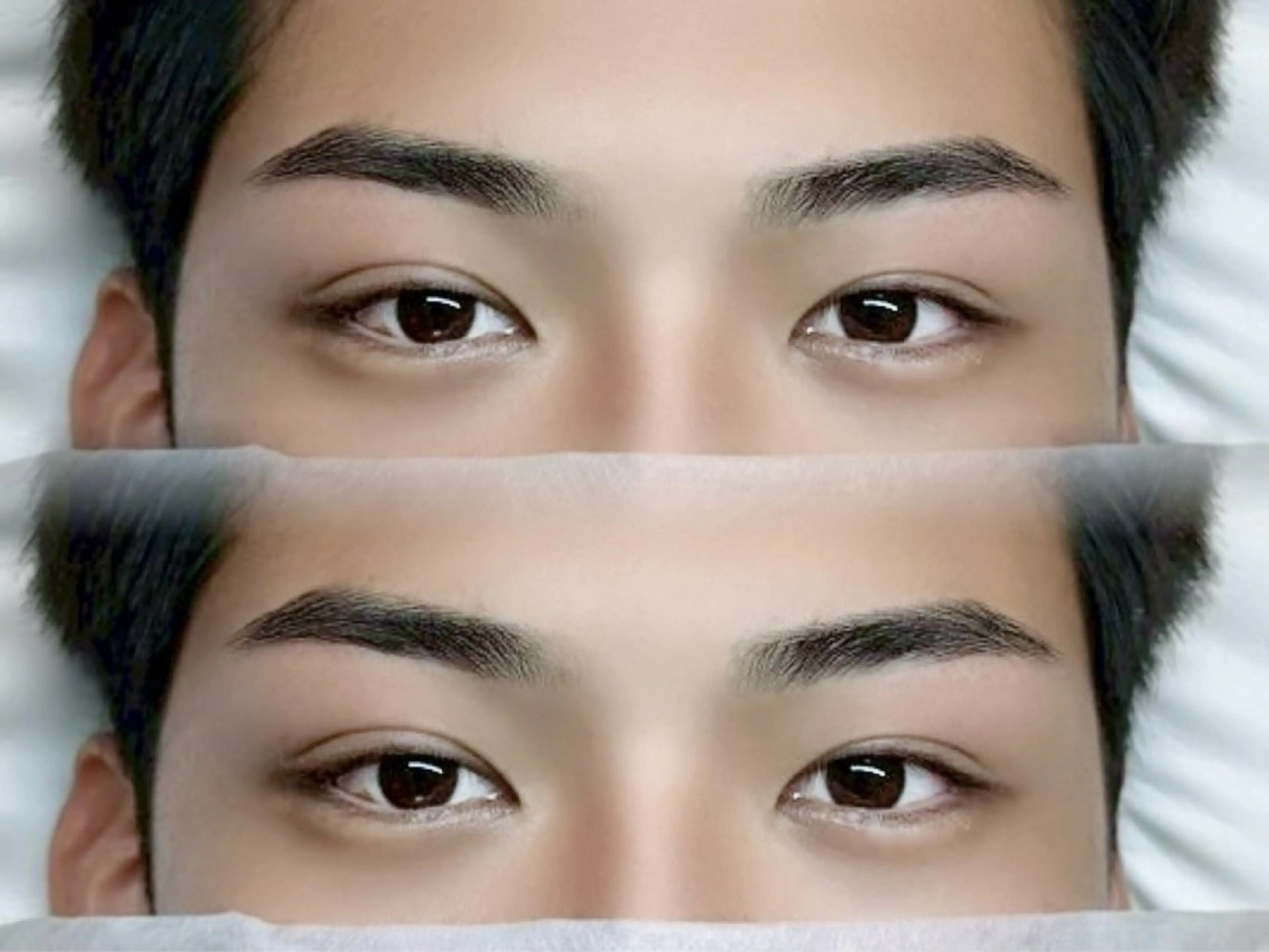 アイブロウ 眉毛のおねえさん所属・眉毛のおねえさん 本店の眉毛・アイブロウイメージ