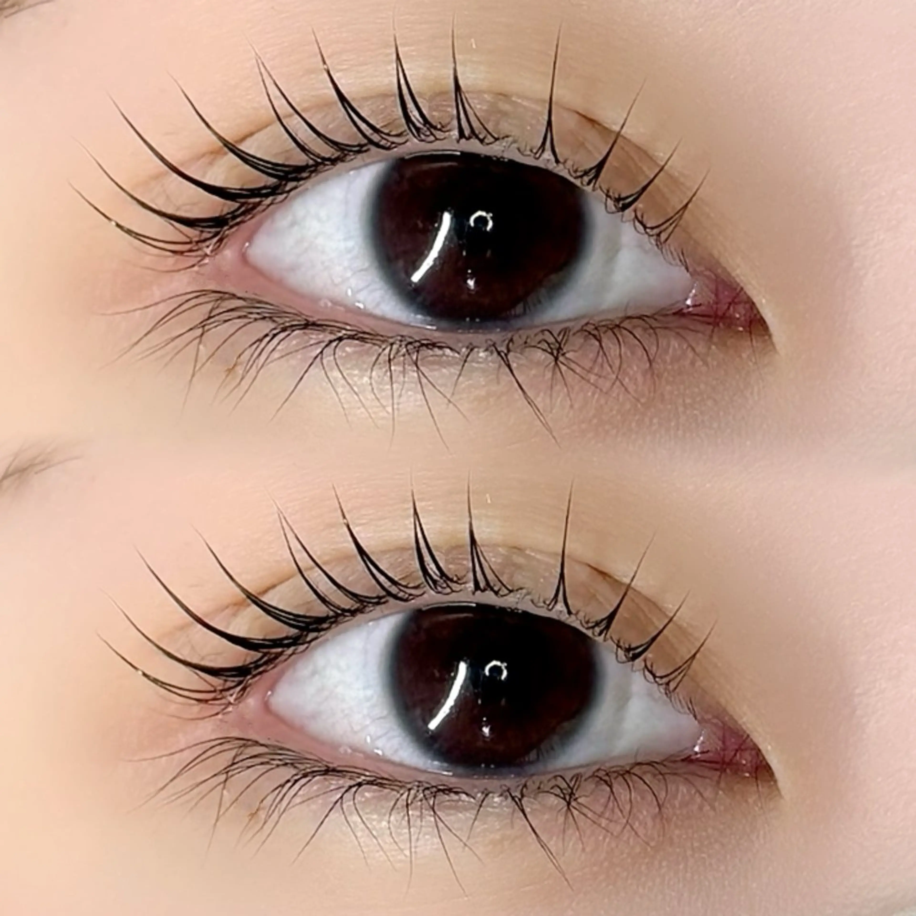 マツエク・マツパ マツパ 🩰yuri🩰 似合わせ/束感のマツエク・マツパデザイン