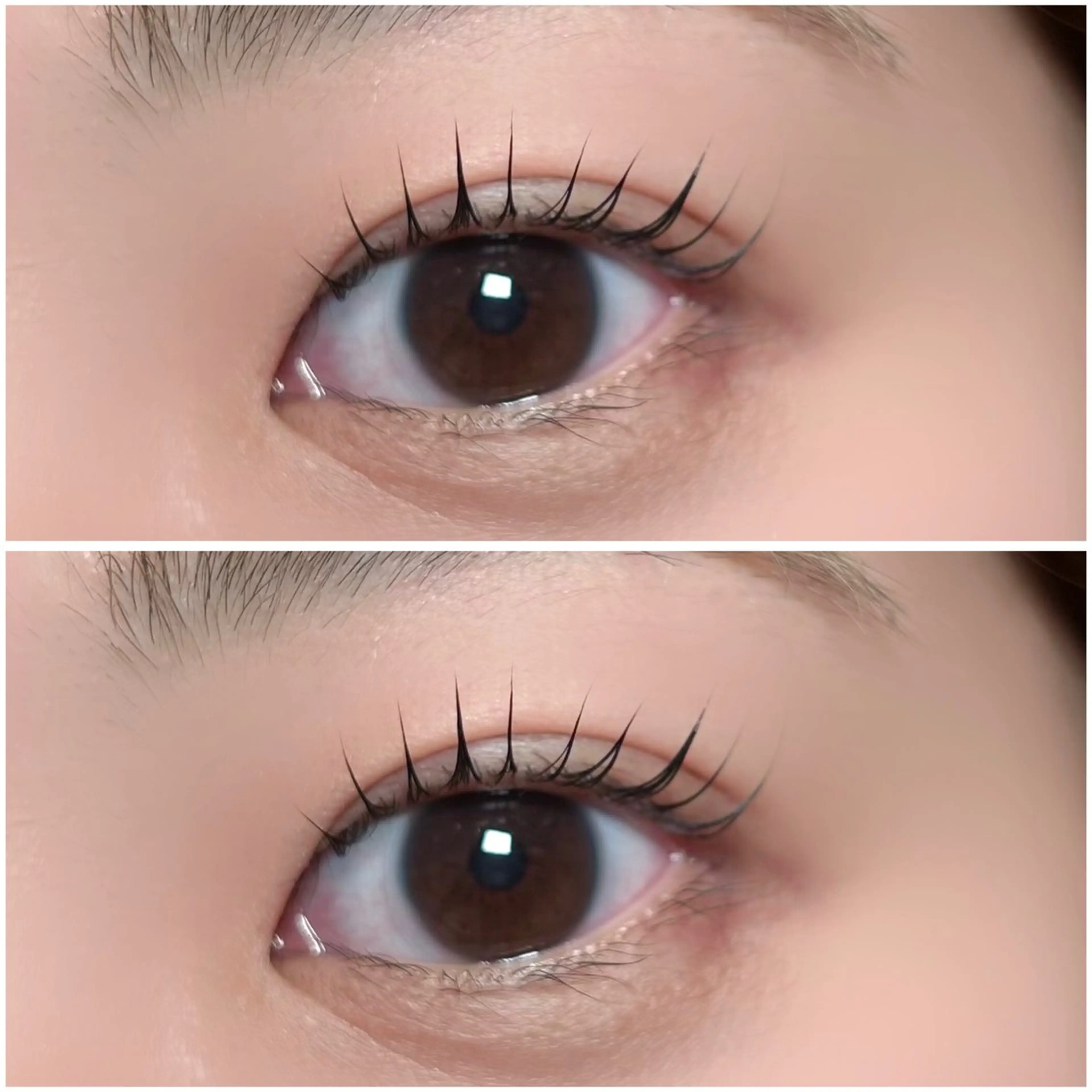 【🫧大人気‼️韓国風束間上まつ毛パーマ🫧】🩶コーティング仕上げ付き🩶個室施術の写真