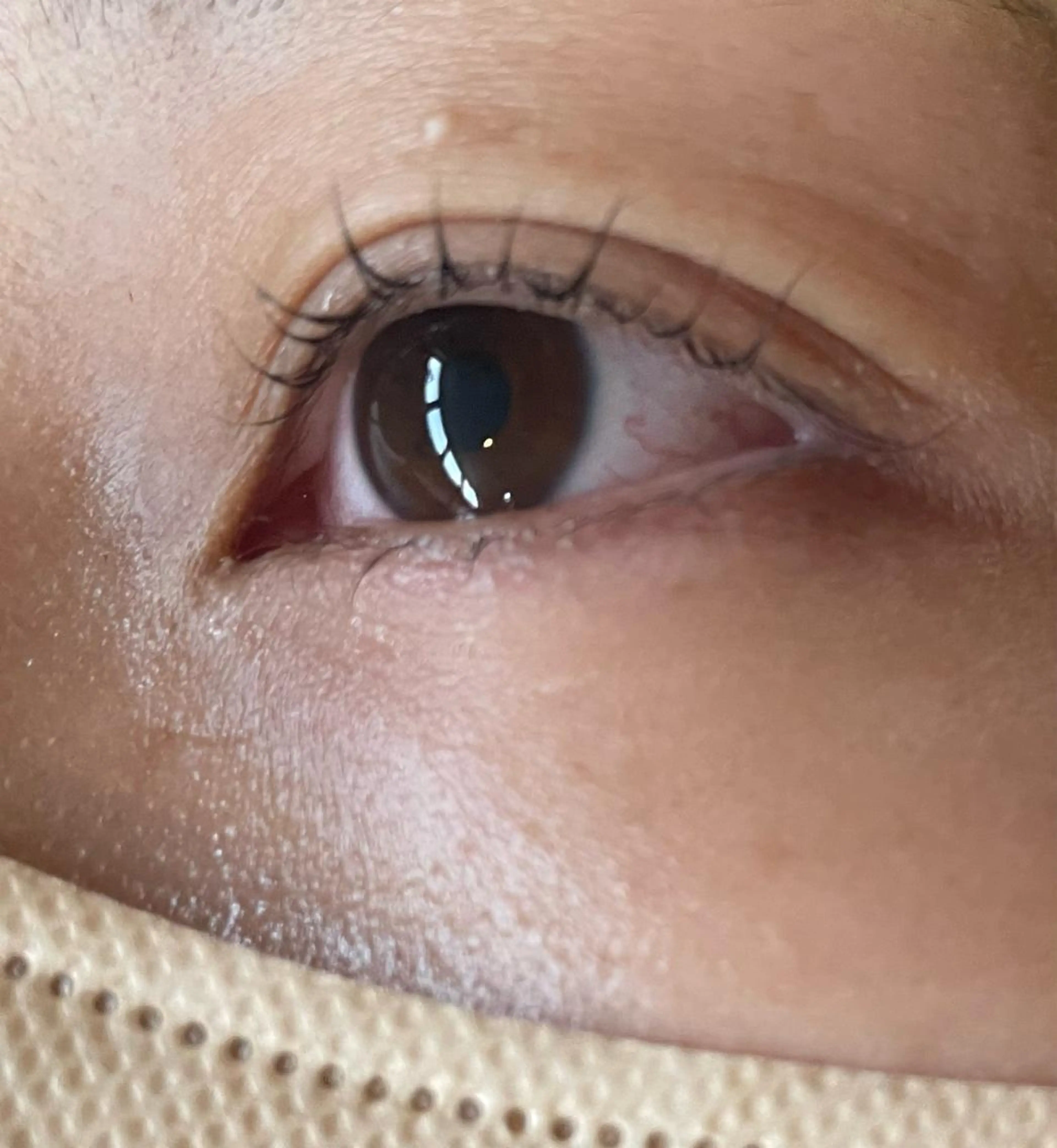 マツエク・マツパ マツパ 美容室アークス所属・美容室ARKS 黒田杏奈のマツエク・マツパデザイン