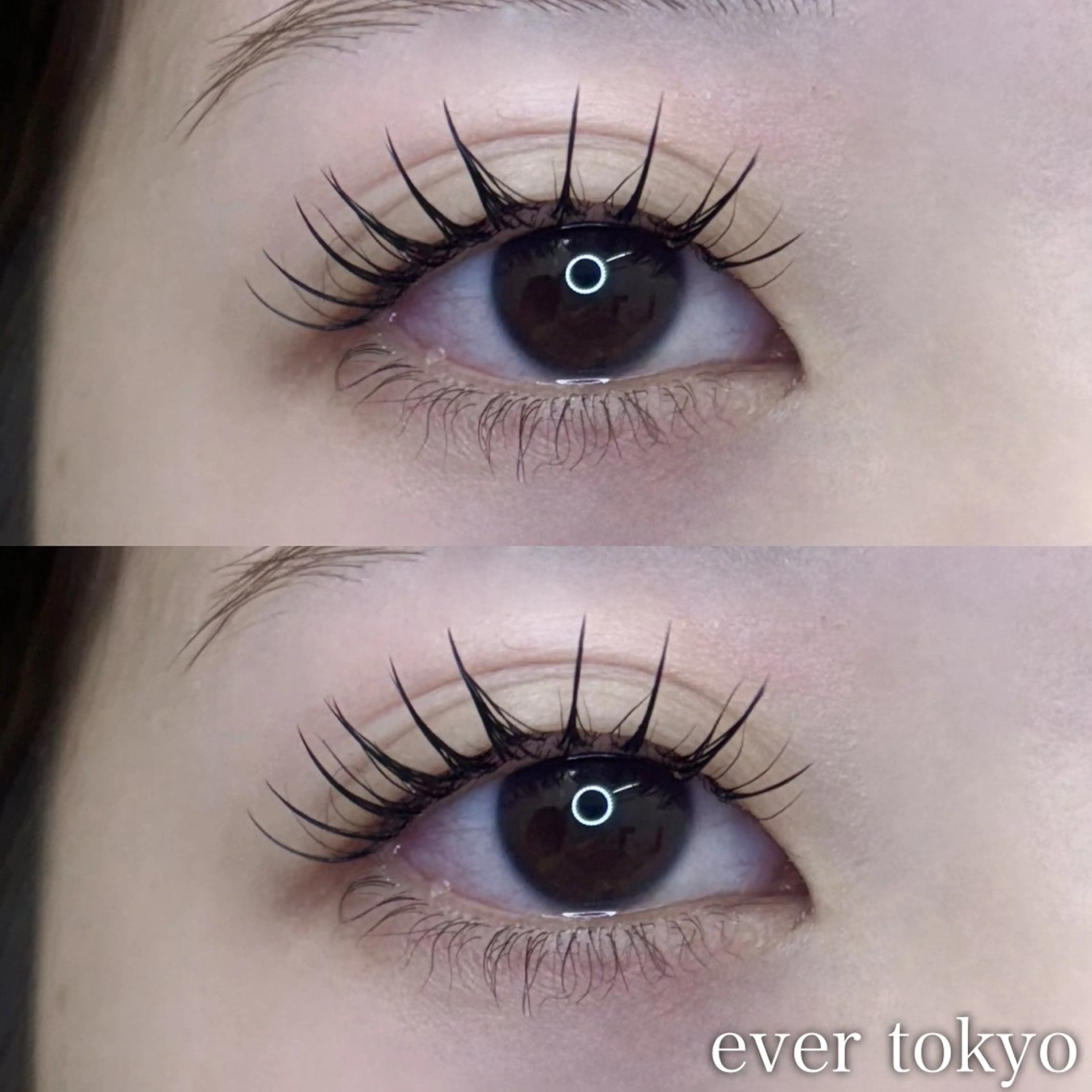 🧸ご新規様限定🧸パリエク(パリジェンヌ×フラットラッシュ)80本 束感コーティング付の写真