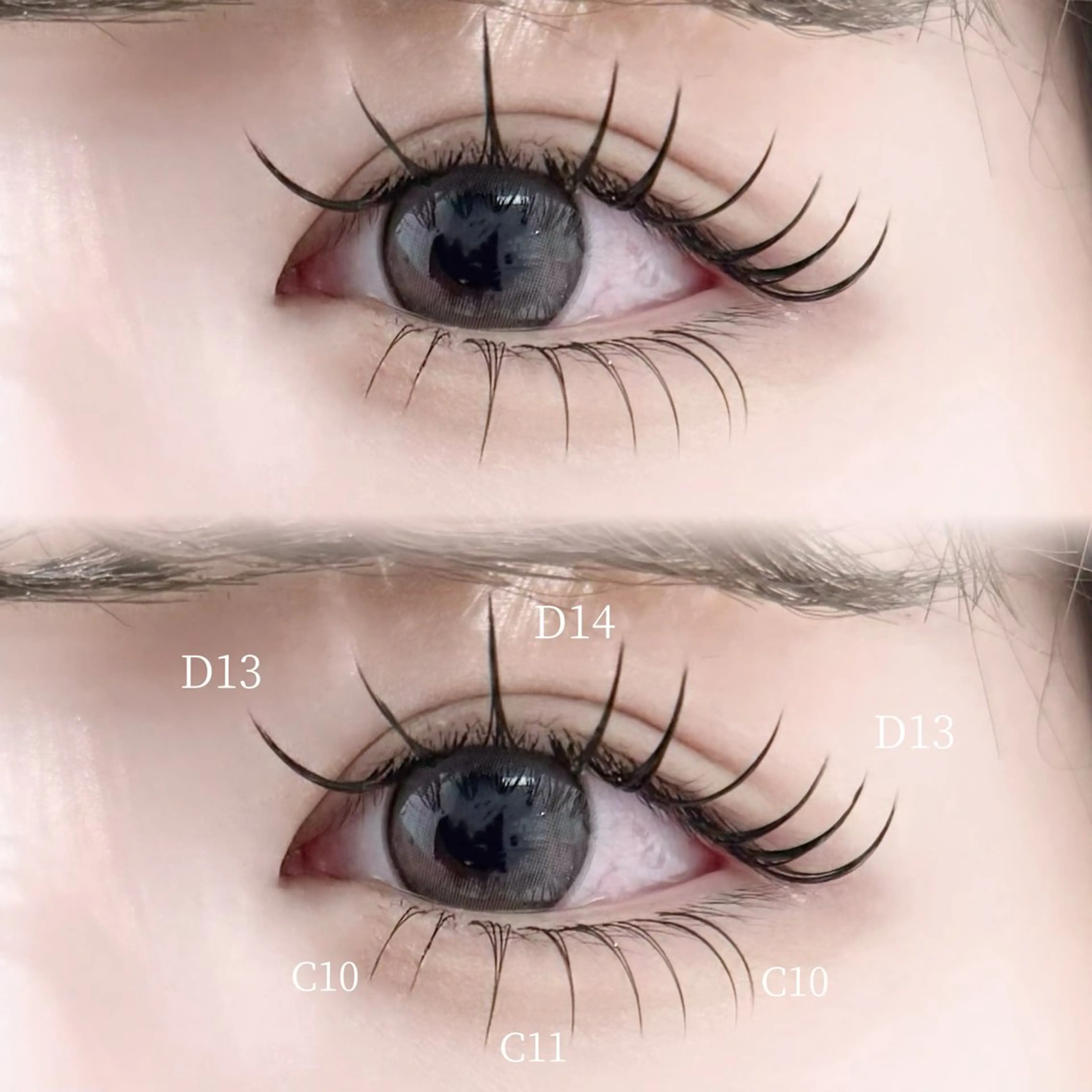 🖤バインドロック~80束＋下まつげエクステ40本の写真