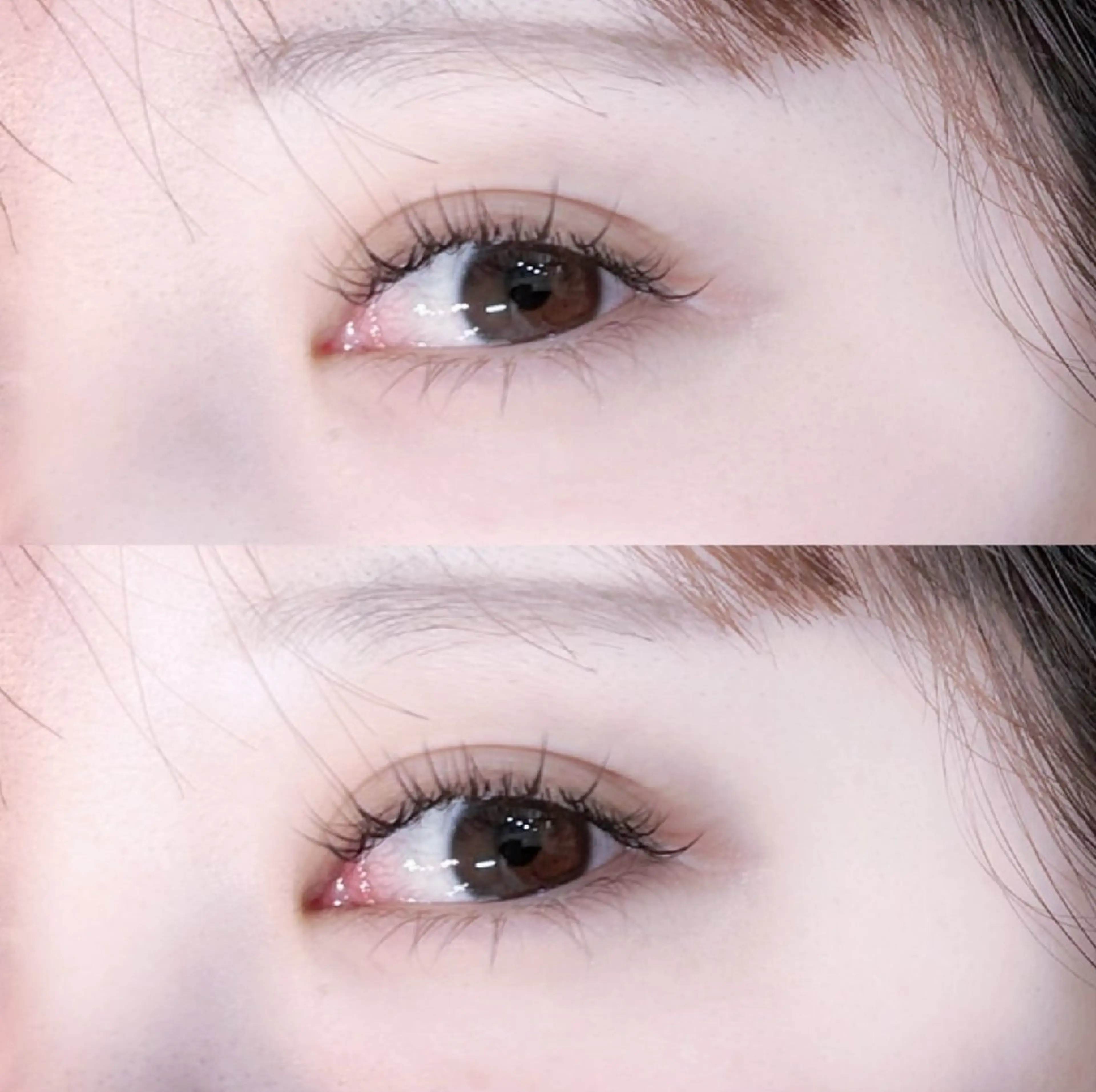 セーブル１４０本の写真