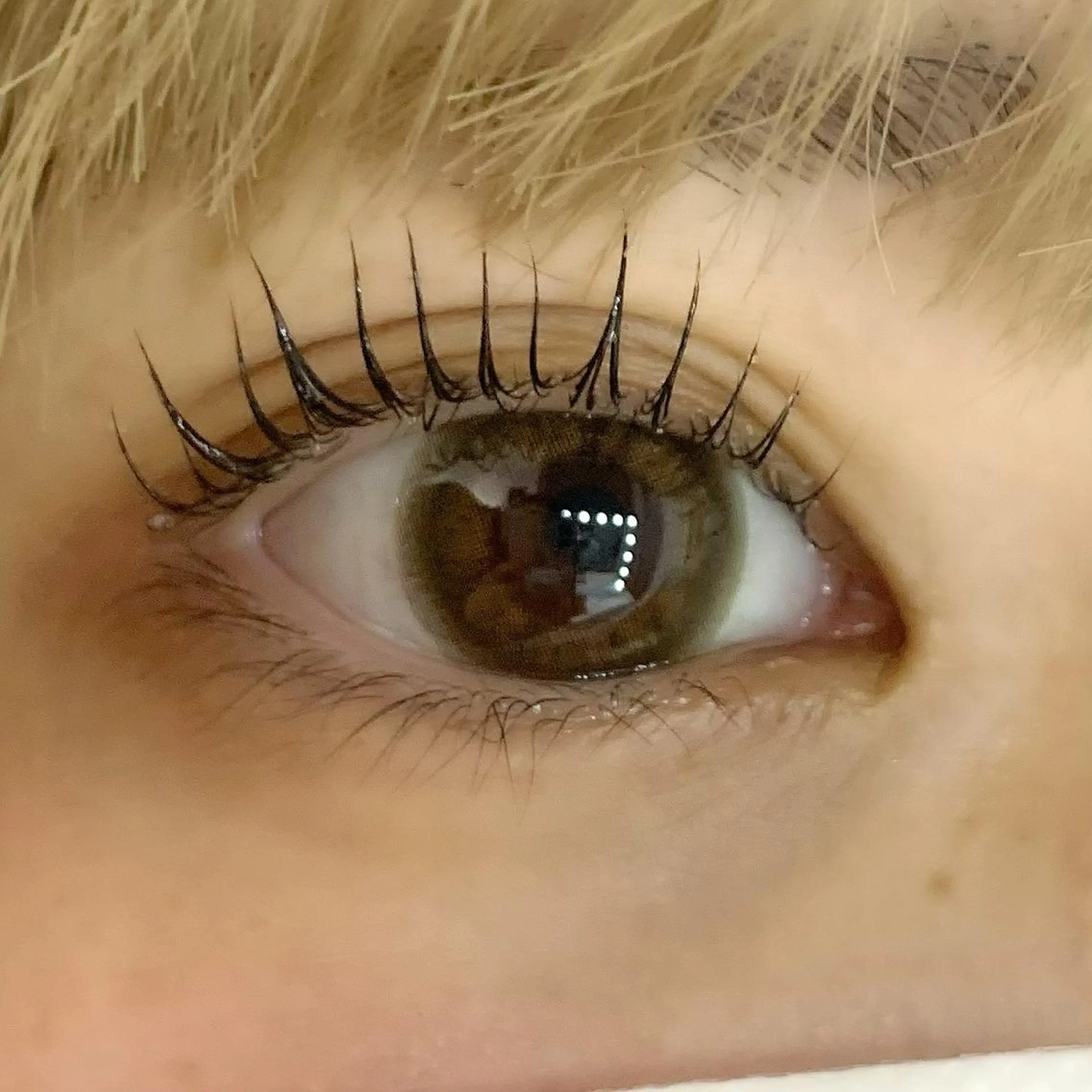 マツエク・マツパ Celeste Venus所属・🧸Celeste Venusのマツエク・マツパデザイン