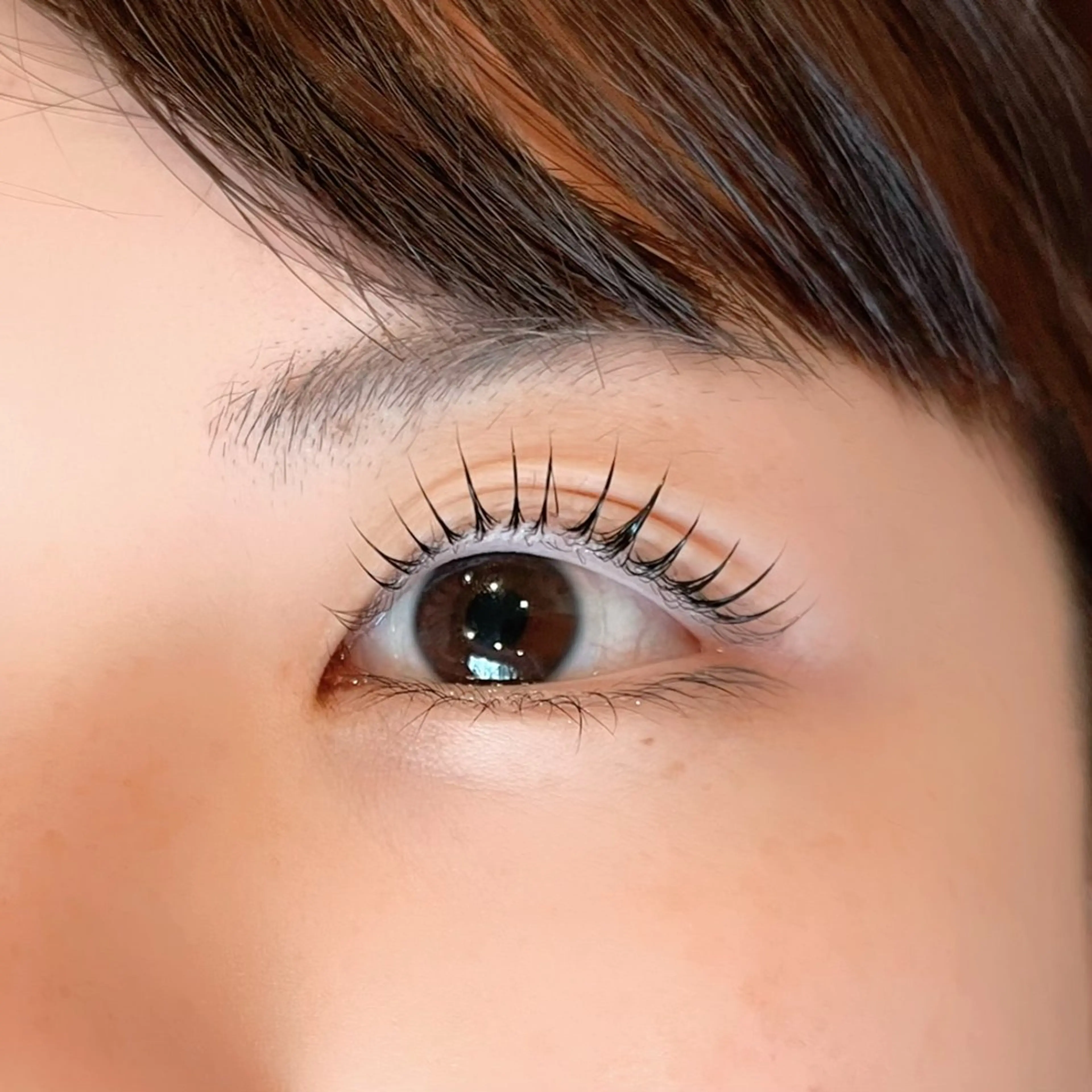 マツエク・マツパ sofa 🛋⸝⸝ urushibaraのマツエク・マツパデザイン