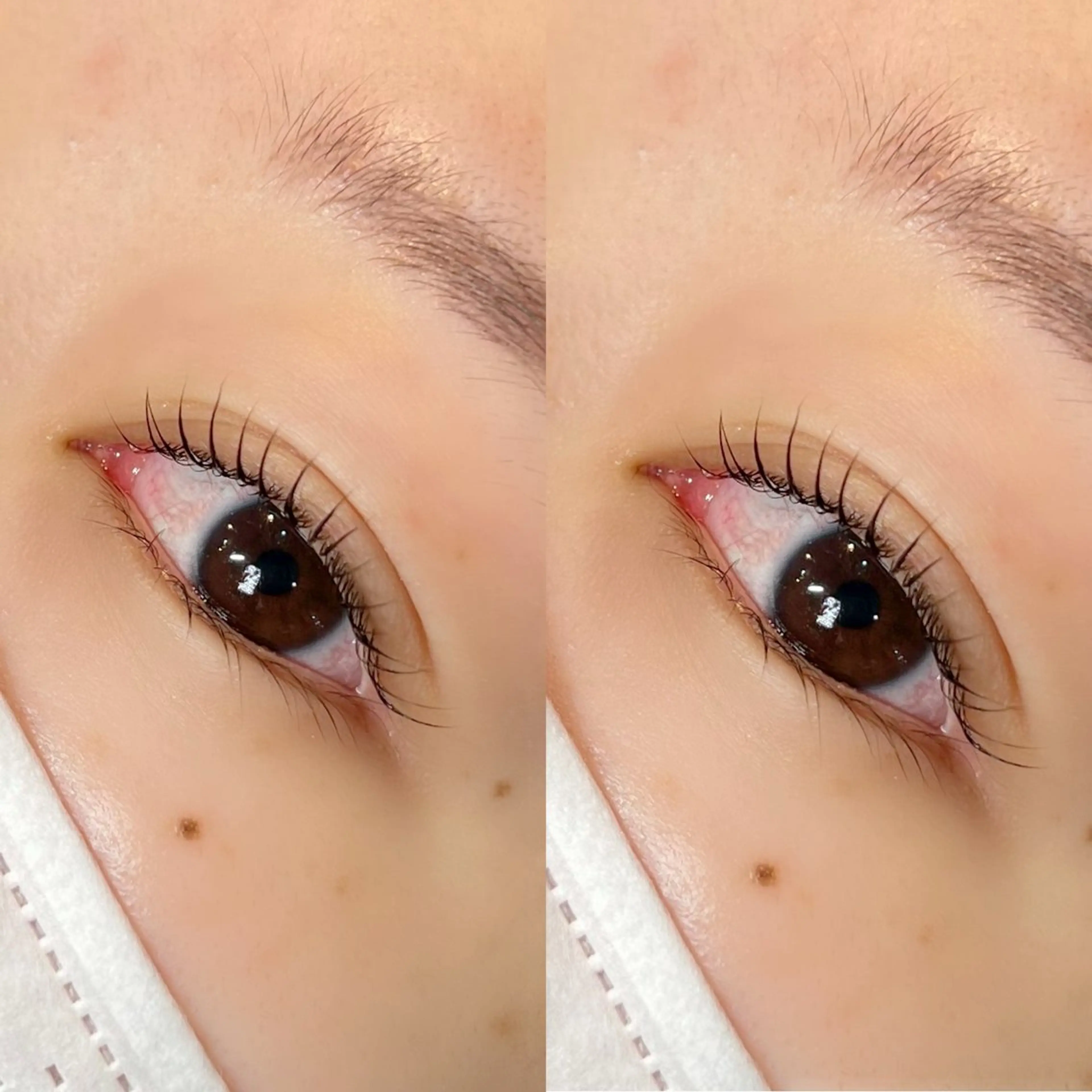 マツエク・マツパ 一重×まつ毛パーマ マツパ 谷本望 /宝塚eyelashの眉毛・アイブロウイメージ