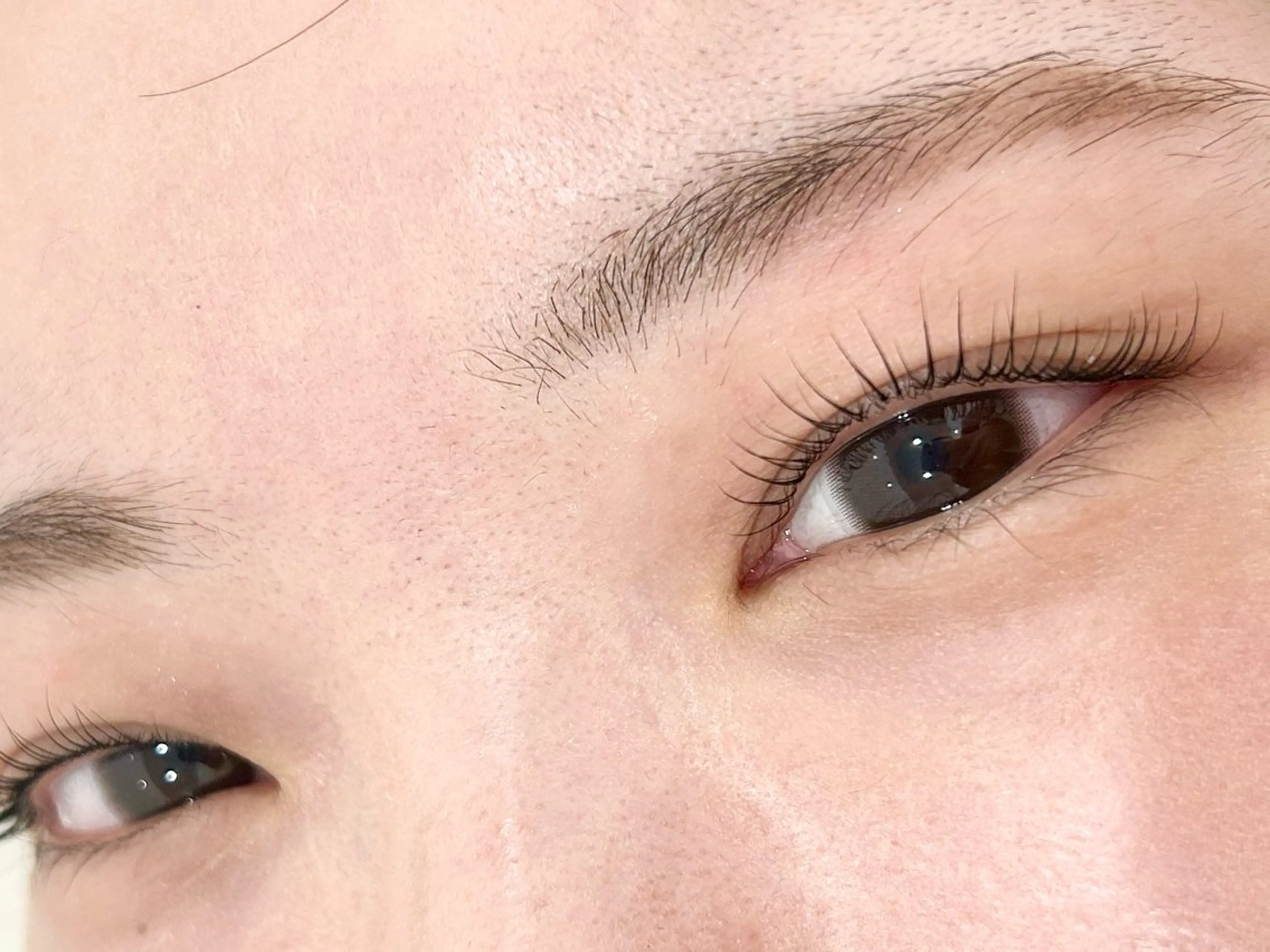 マツエク・マツパ eyelash&eyebrow Lupinus【ルピナス】所属・Lupinus 南草津店のマツエク・マツパデザイン