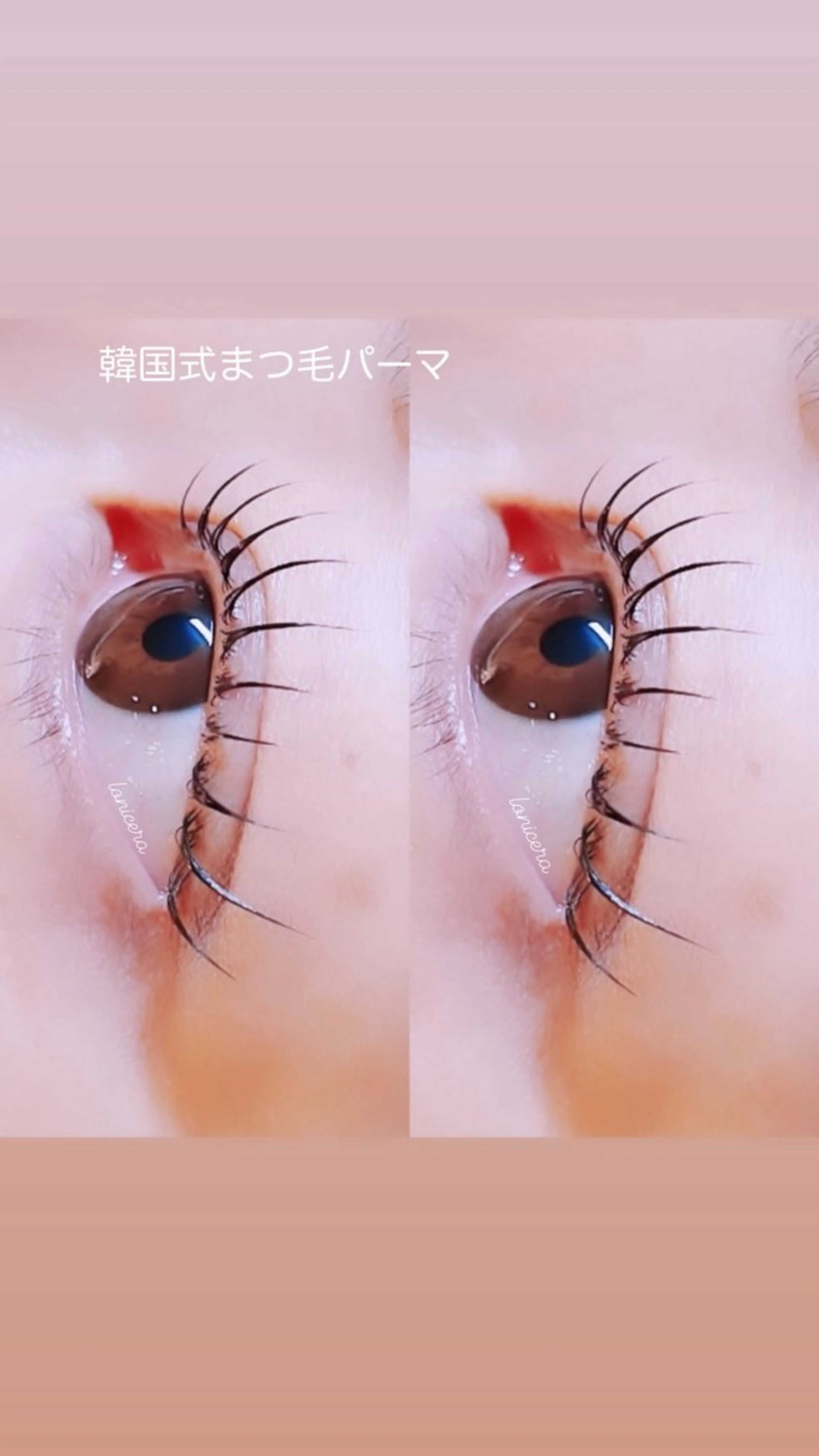 マツエク・マツパ 韓国風マツエク 一重×まつ毛パーマ ロニセラ アイラッシュのマツエク・マツパデザイン