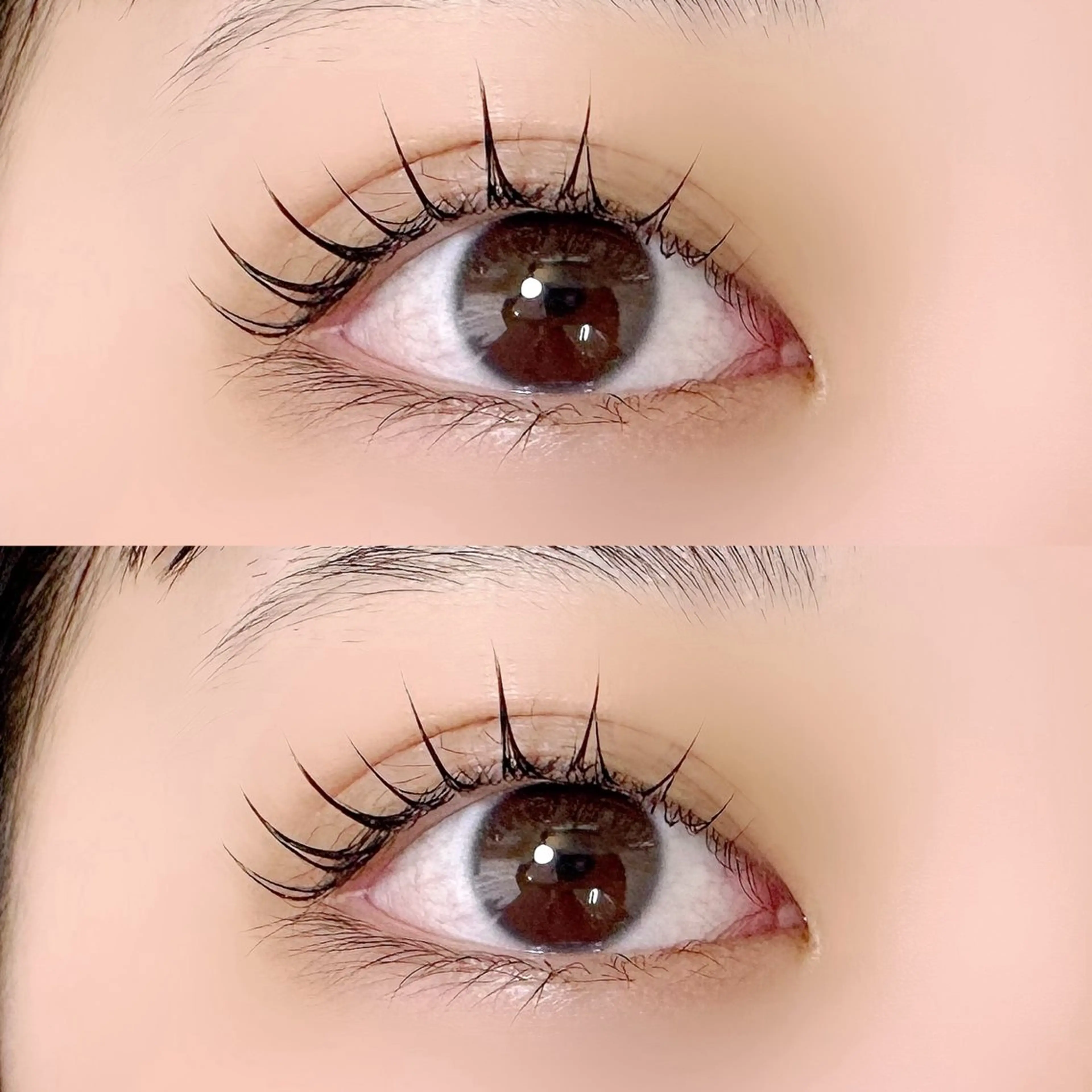 【期間限定】💖韓ドル風束感まつげパーマの写真