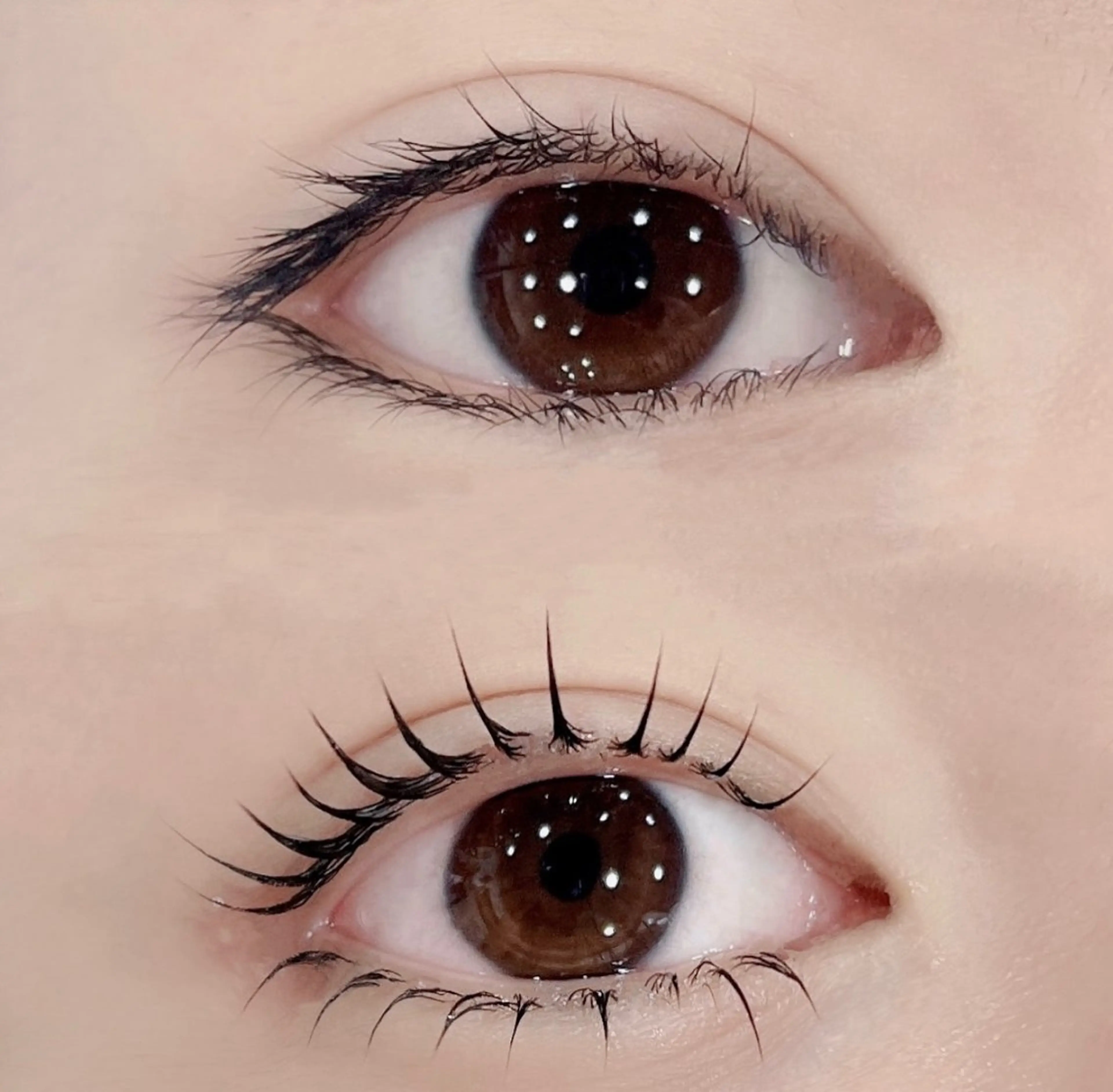 🦋下まつげパーマのみ♪逆さまつげ対策♪4980の写真