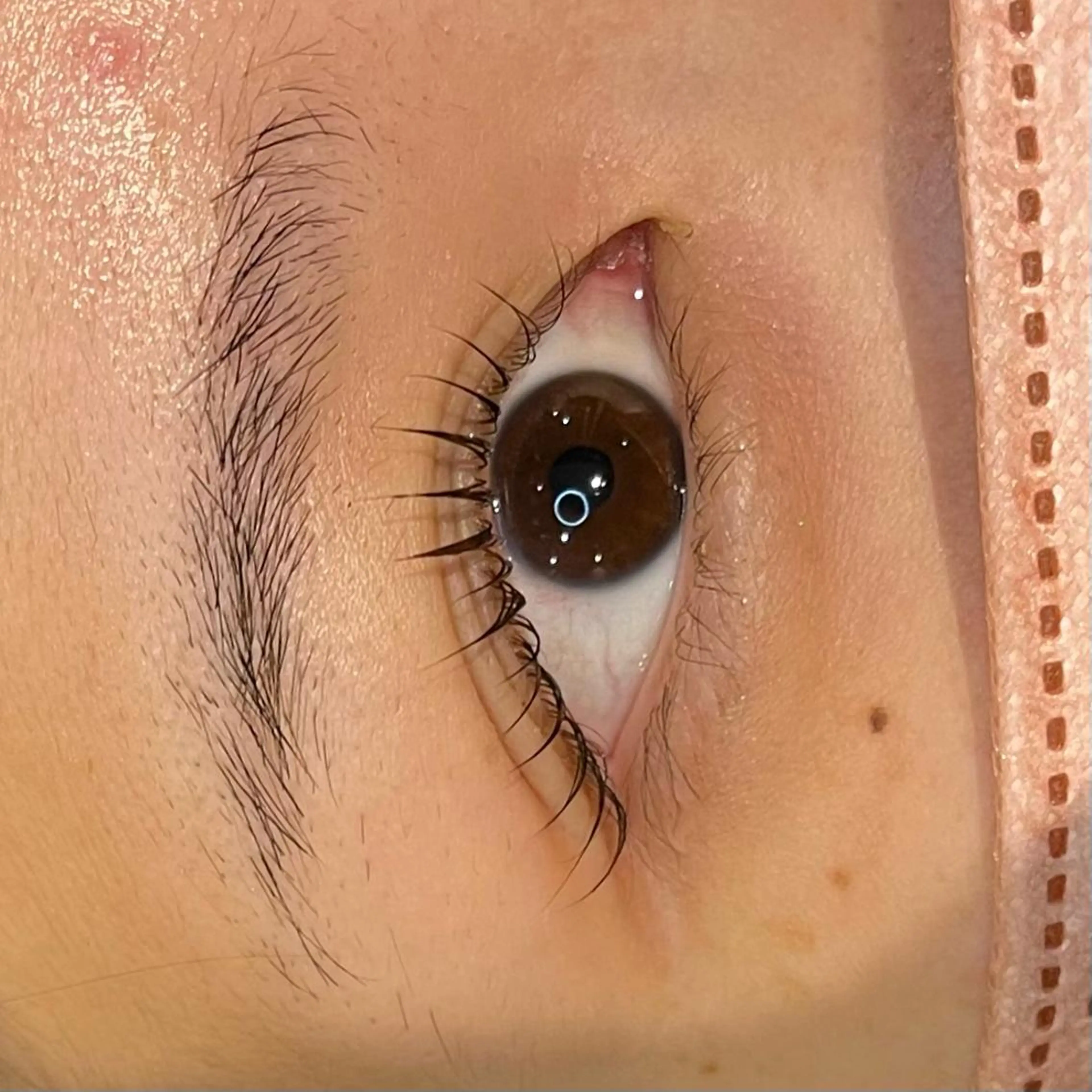 マツエク・マツパ 千恵☀️ マツエク/マツパ☀️のマツエク・マツパデザイン