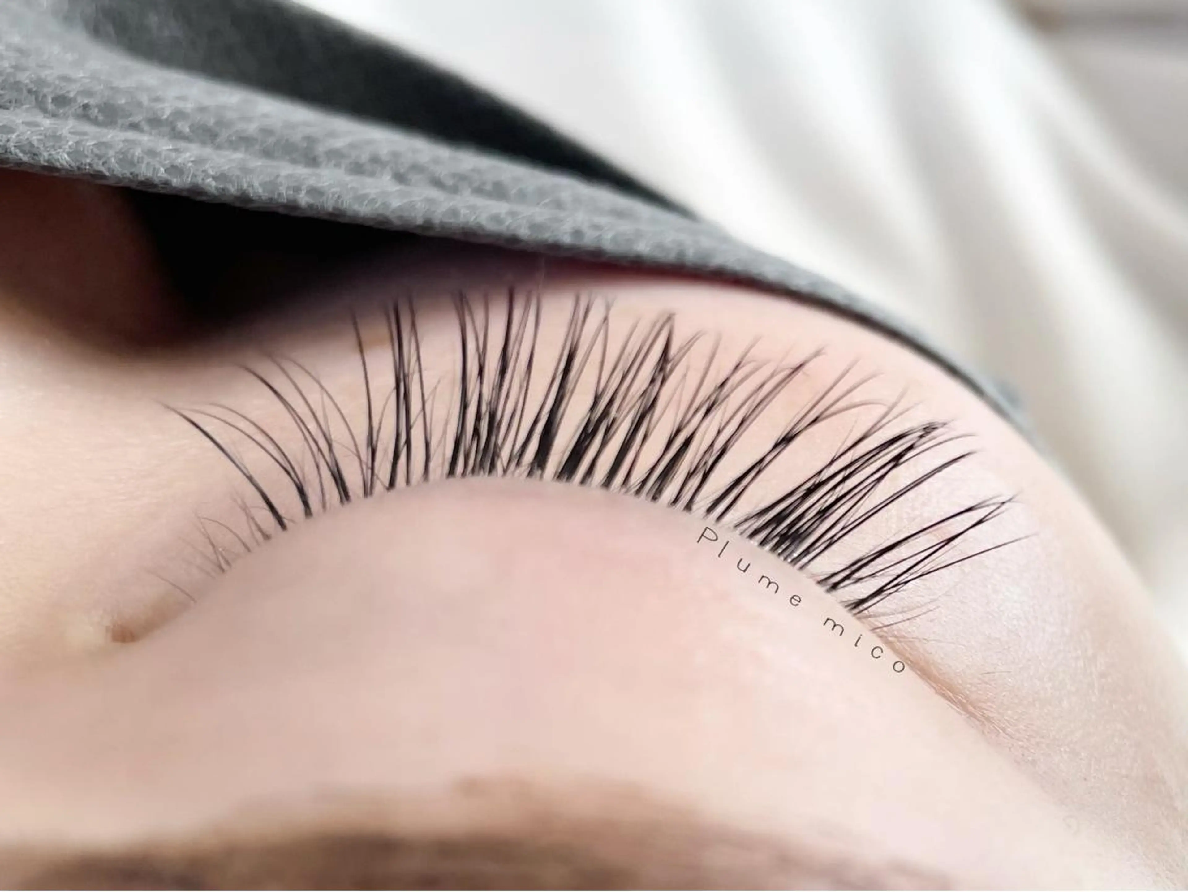 マツエク・マツパ マツエク Plume micoのマツエク・マツパデザイン