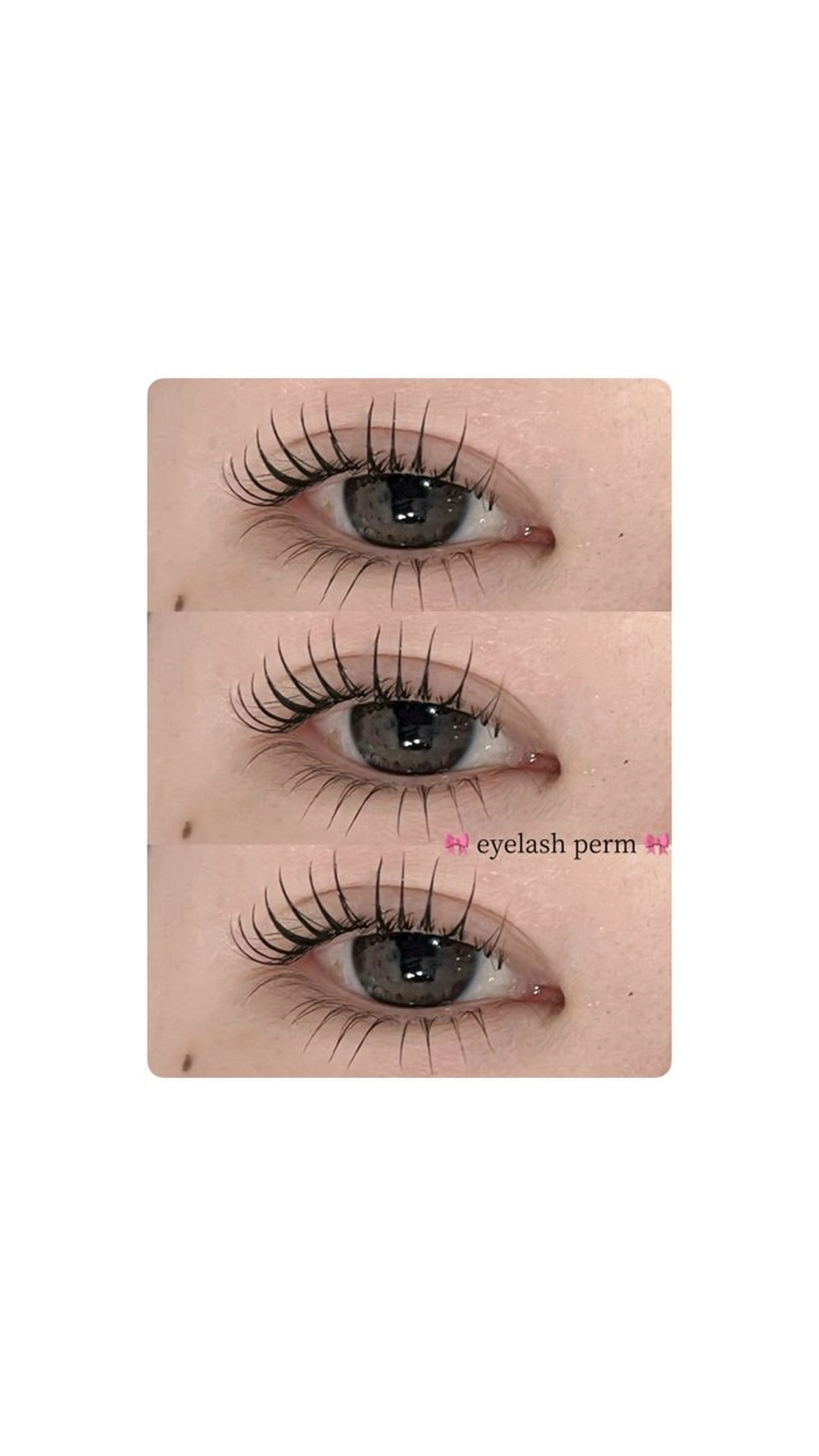⭐️上下まつげパーマ⭐️の写真