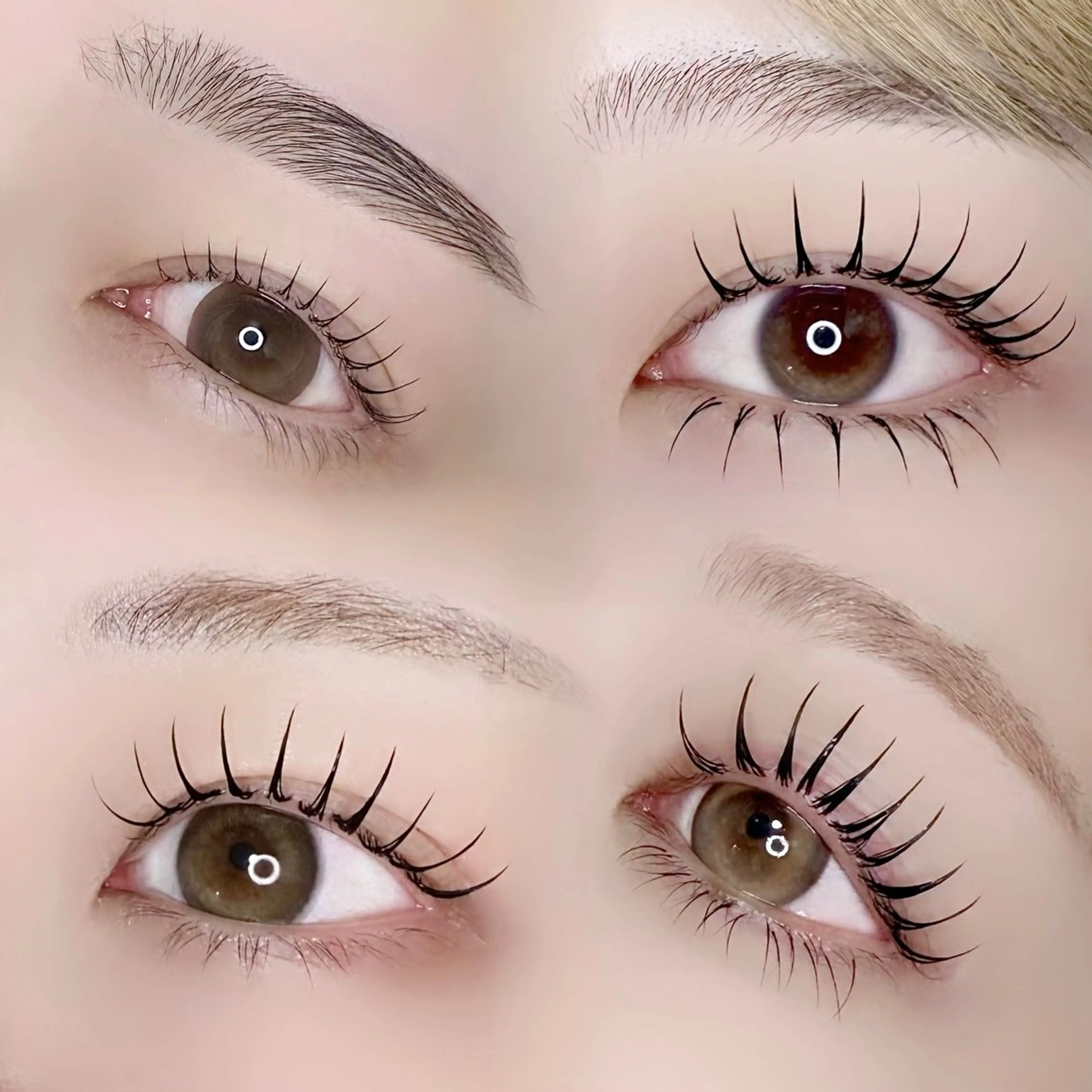 【🌟メニューお悩みの方はこちらを選択🌟】の写真