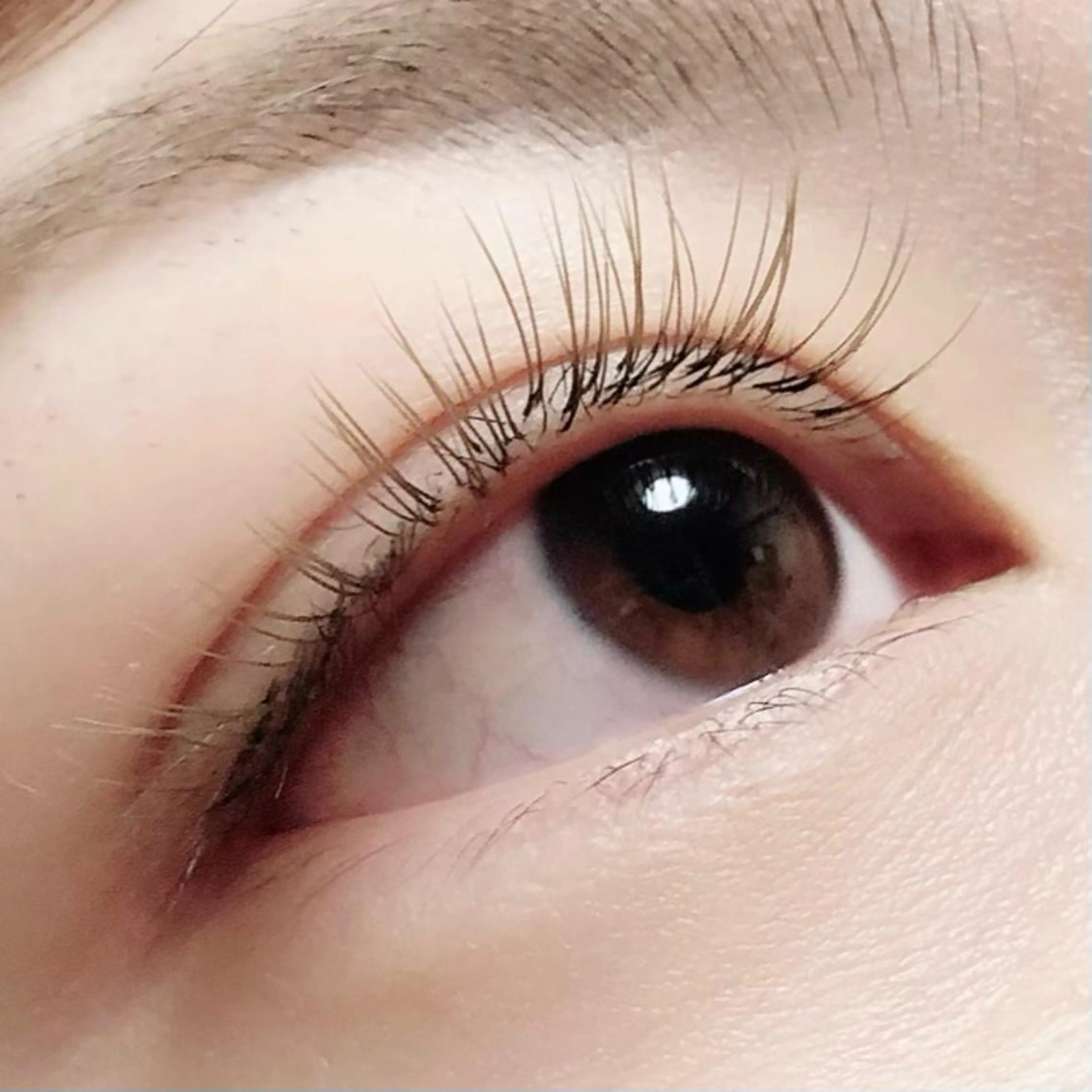 マツエク・マツパ Hase　本八幡 🧸マツエク専門🧸のマツエク・マツパデザイン