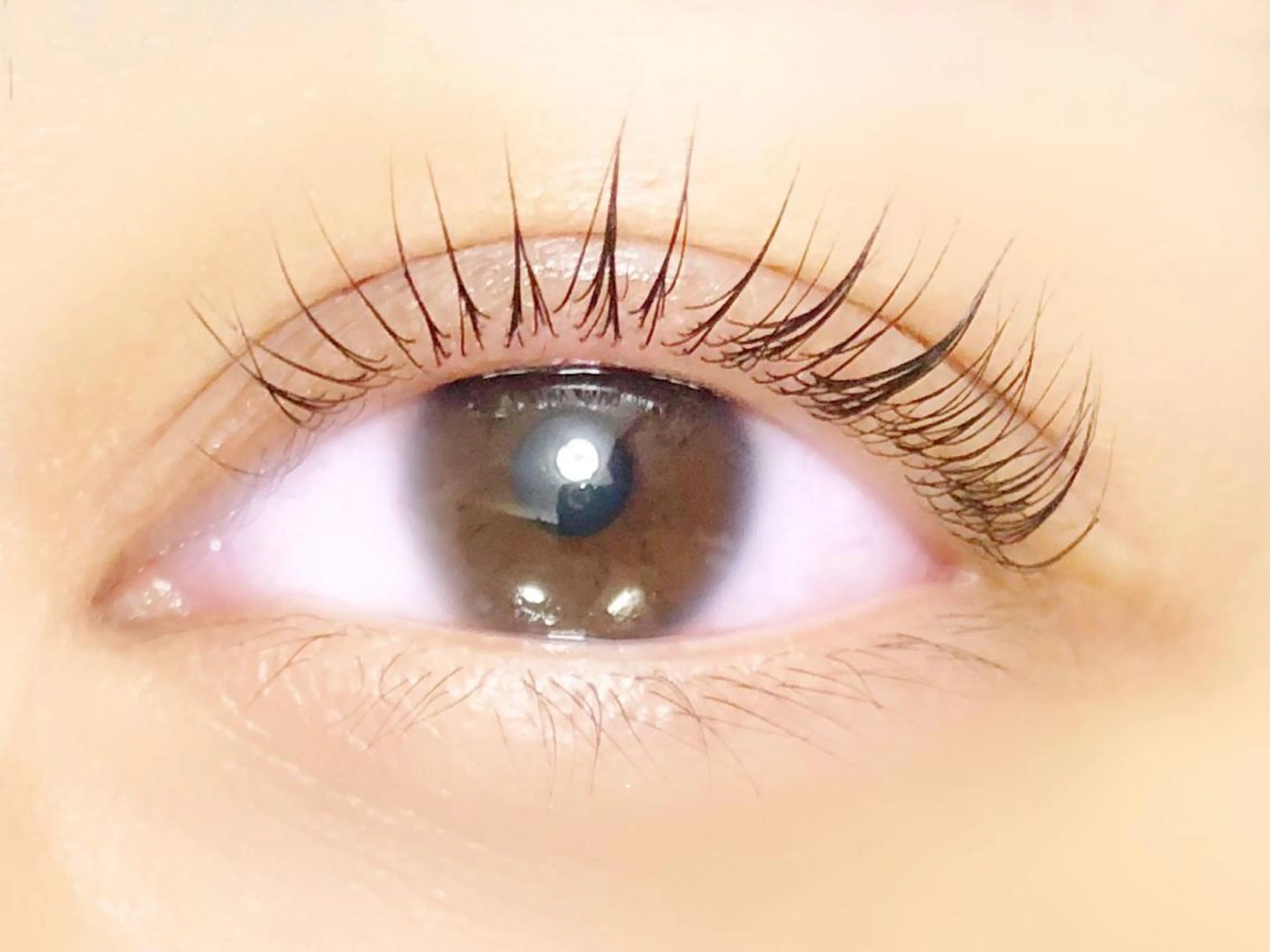 マツエク・マツパ 一重×まつ毛パーマ マツパ RAZZLE DAZZLEのマツエク・マツパデザイン