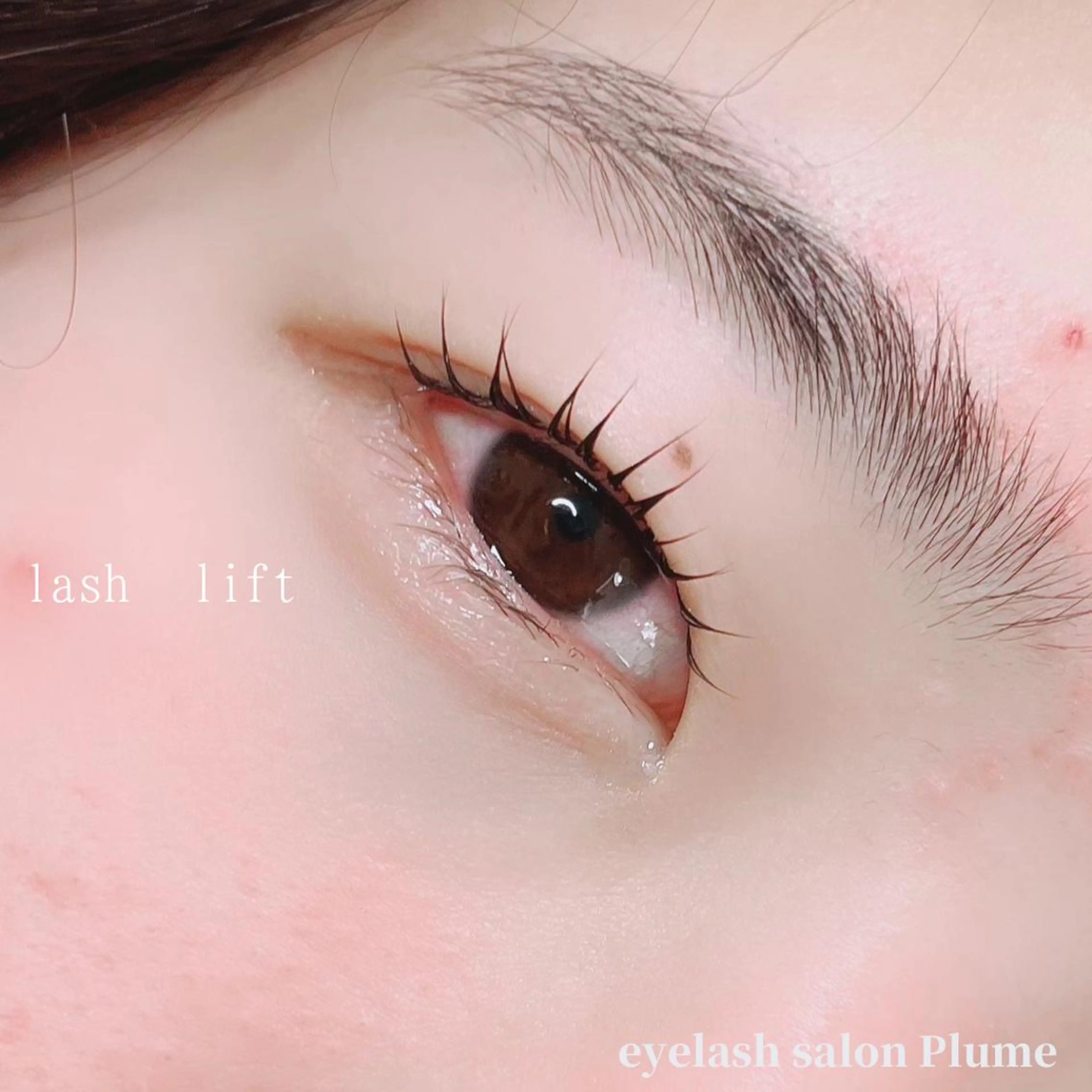 マツエク・マツパ マツパ まつ毛、毛穴ケア 専門サロンPlumeのマツエク・マツパデザイン