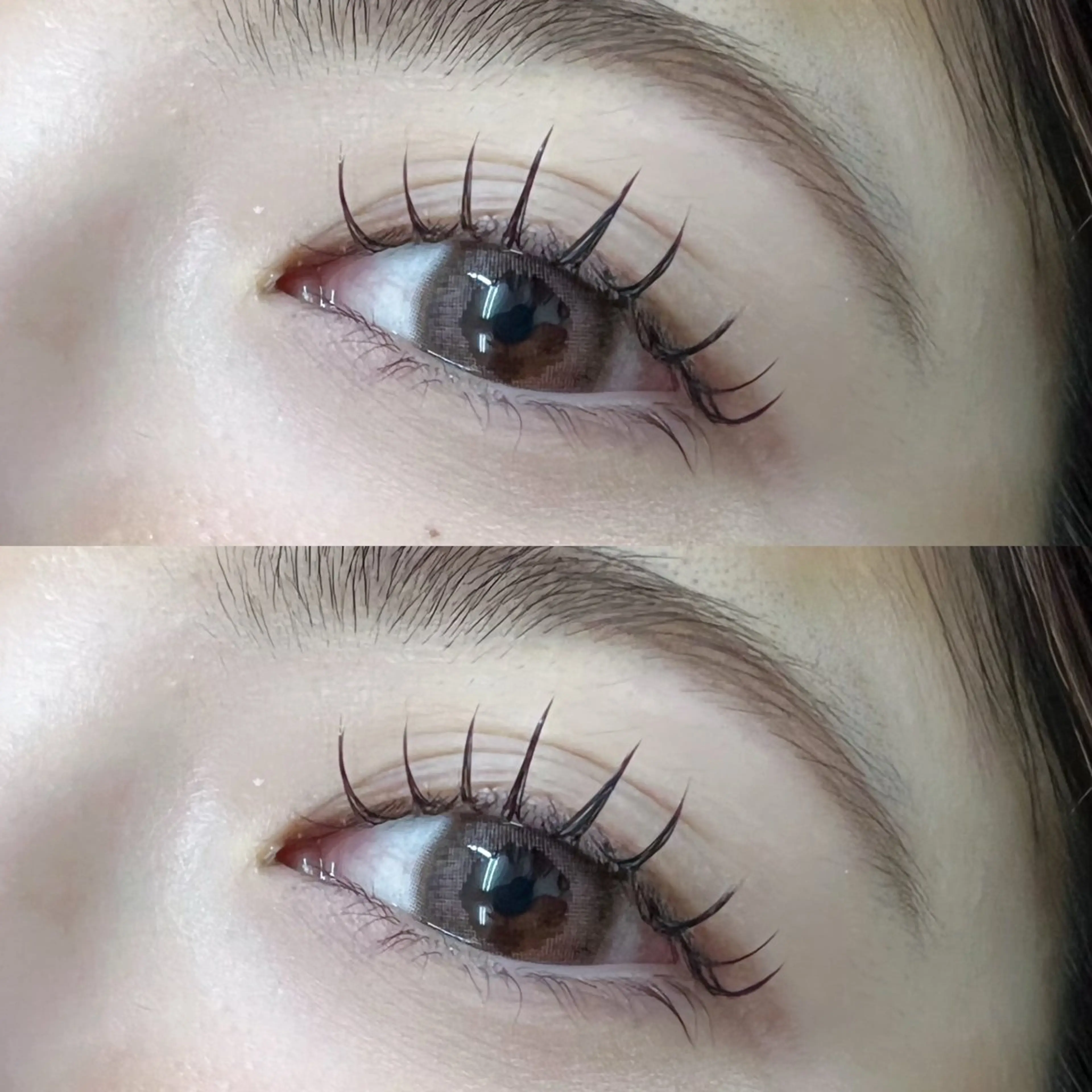 フラットラッシュ60本の写真