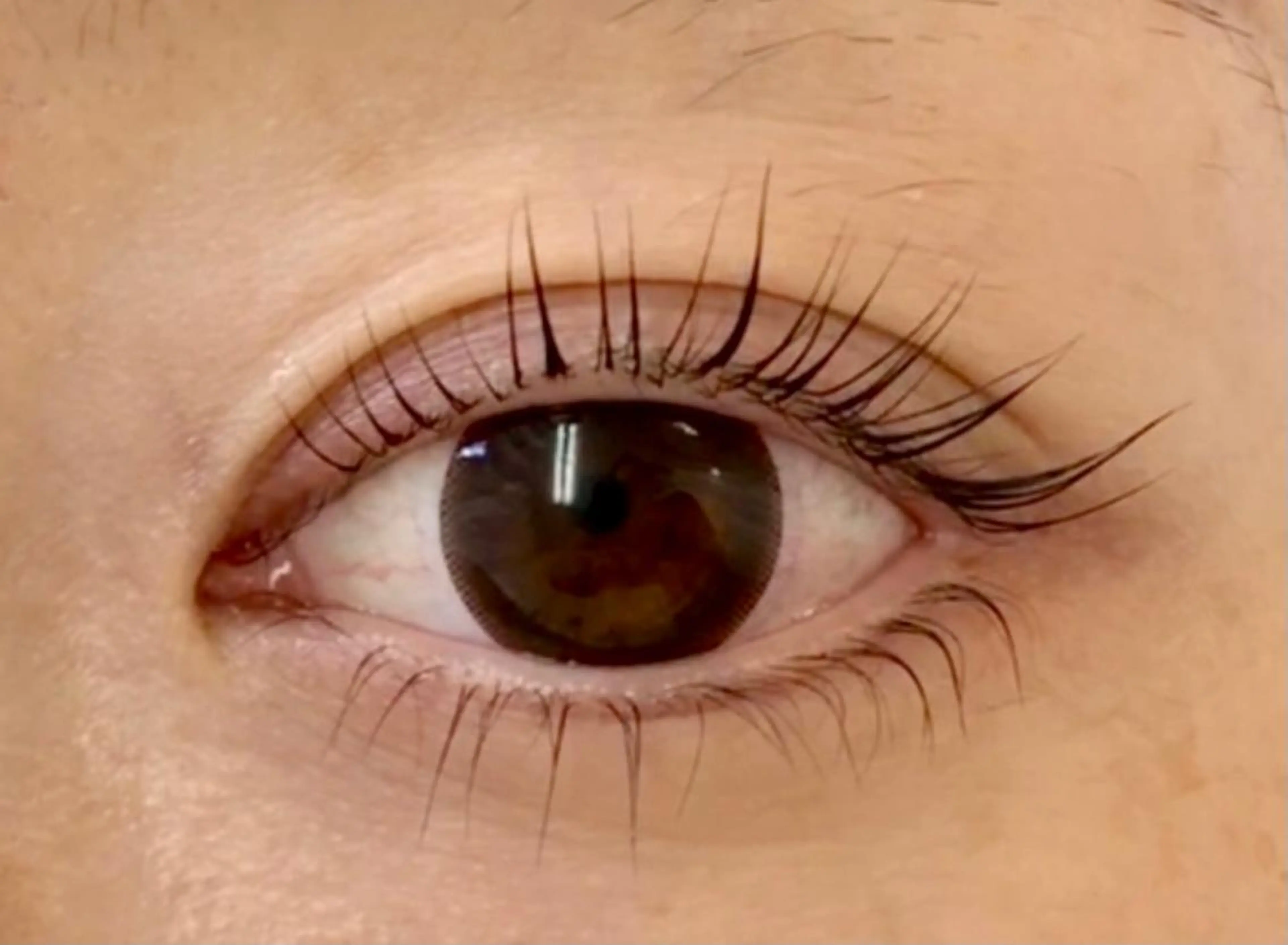 マツエク・マツパ BIONAS 【ビオナス】の眉毛・アイブロウイメージ