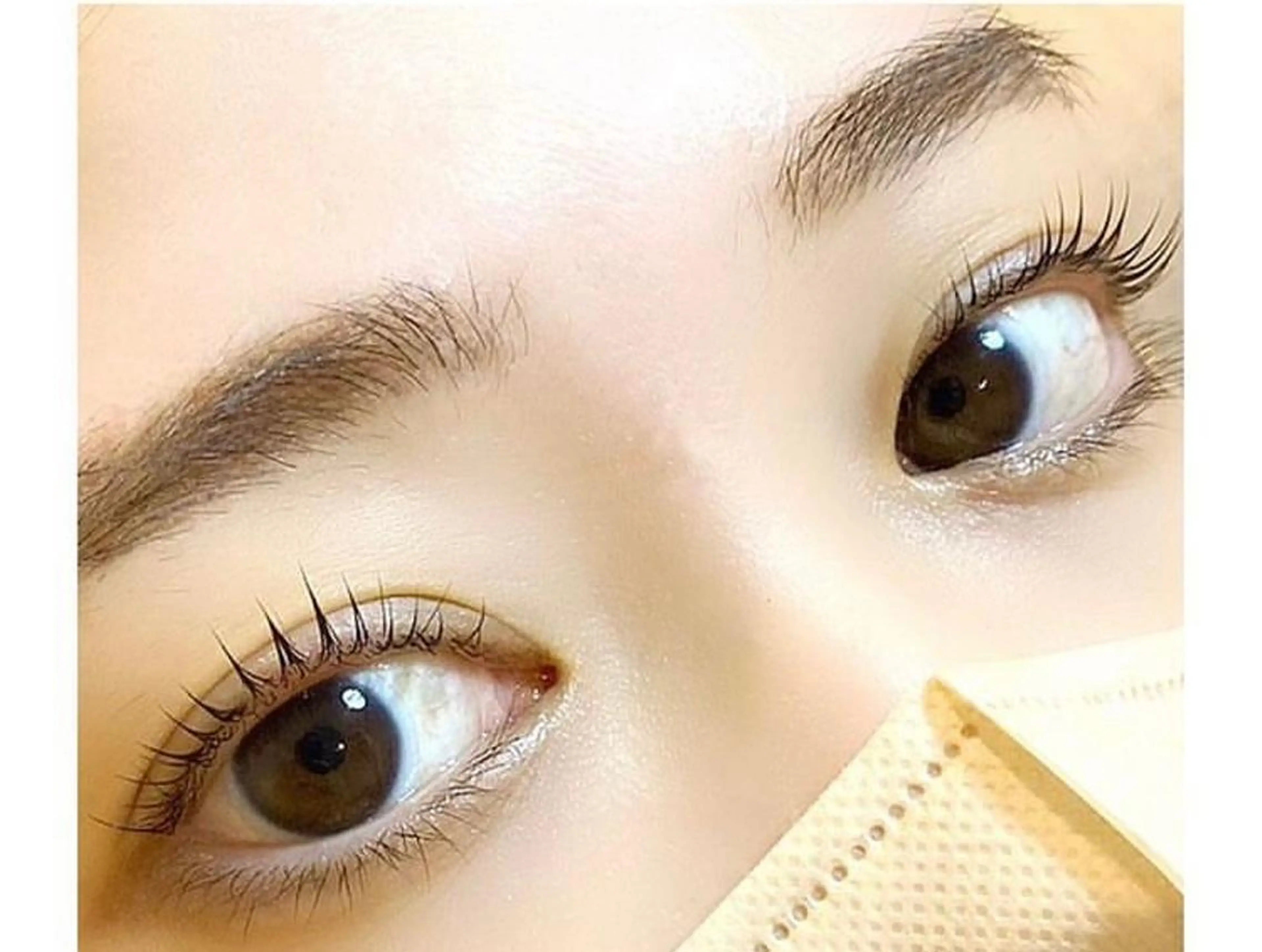 トリートメント付パリジェンヌラッシュリフト✨土日祝不可の写真