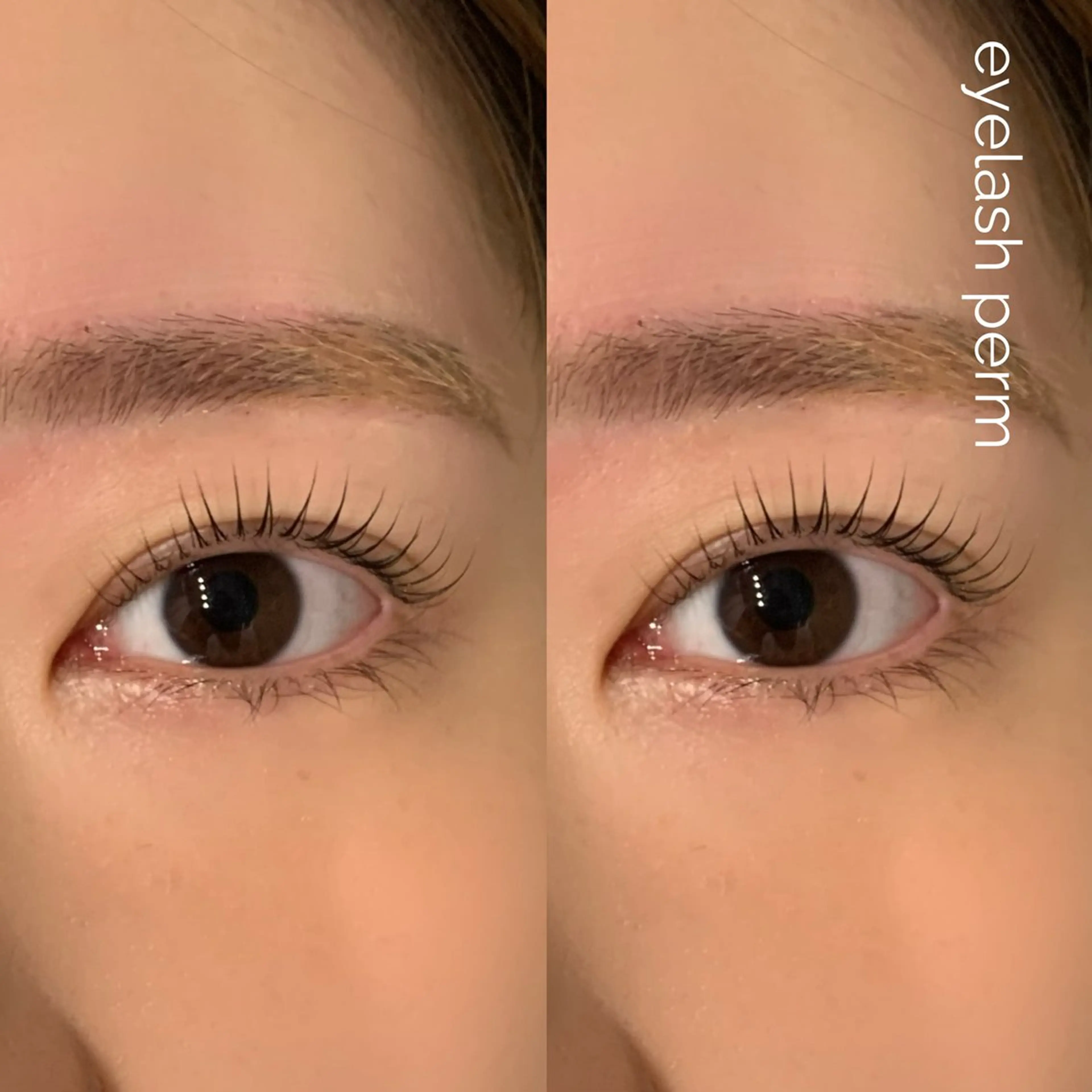 オープン記念価格まつ毛パーマの写真