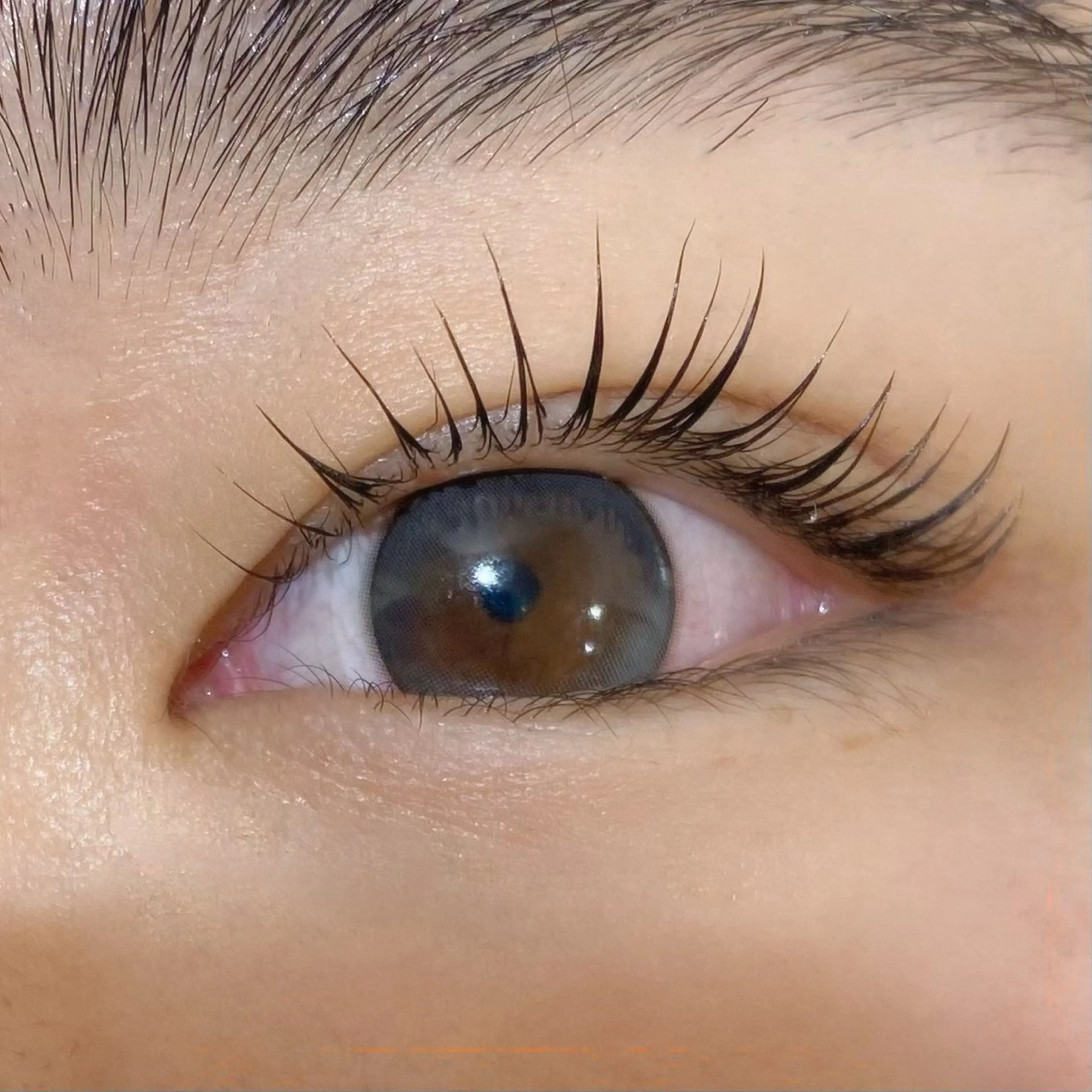 まつ毛パーマ【上のみ】の写真