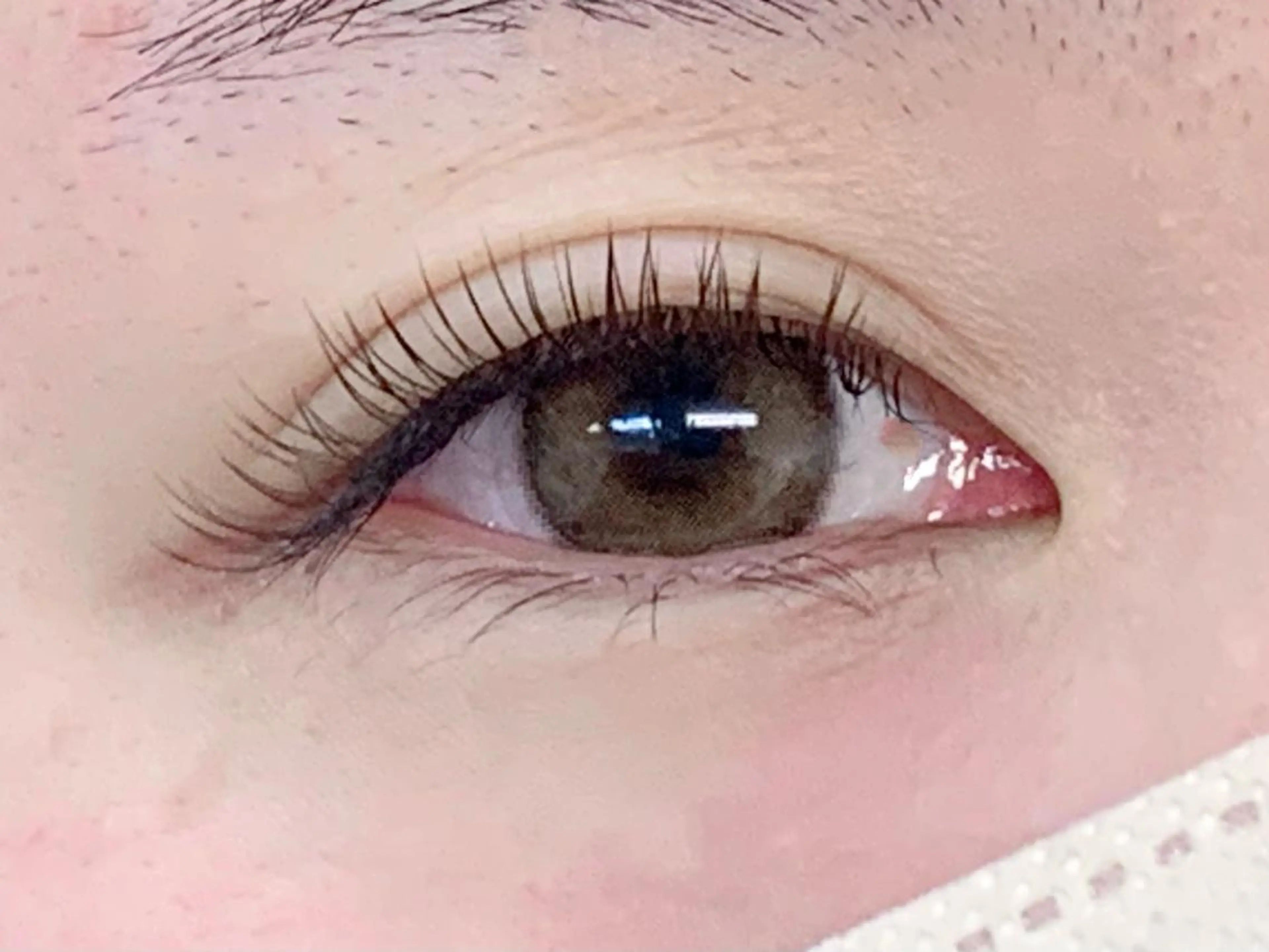 【オフ無料】フラットラッシュ140本✨3回までご利用いただけます！の写真