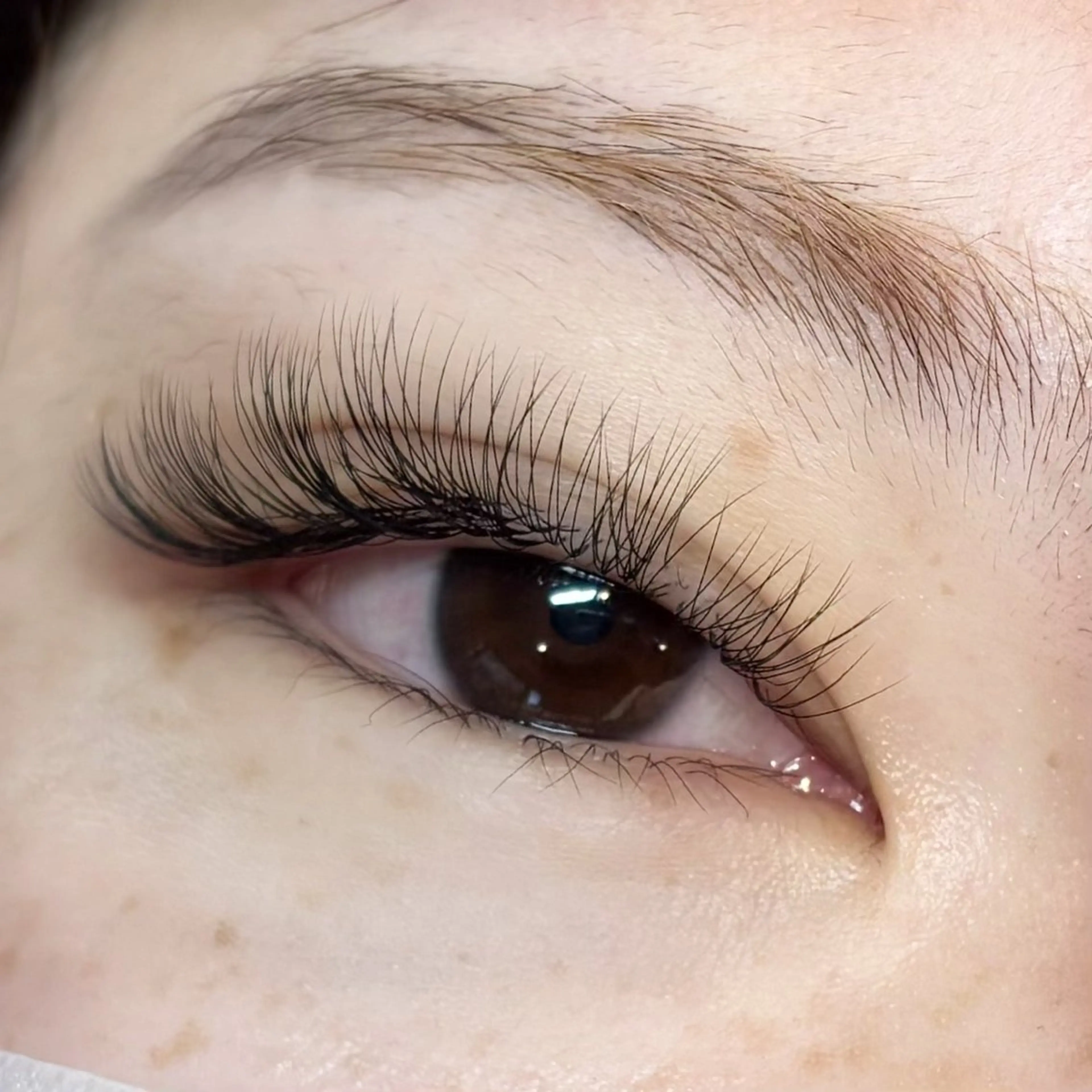 マツエク・マツパ マツエク 🎀韓国風ワンホン・ パリエク特化🎀りほのマツエク・マツパデザイン