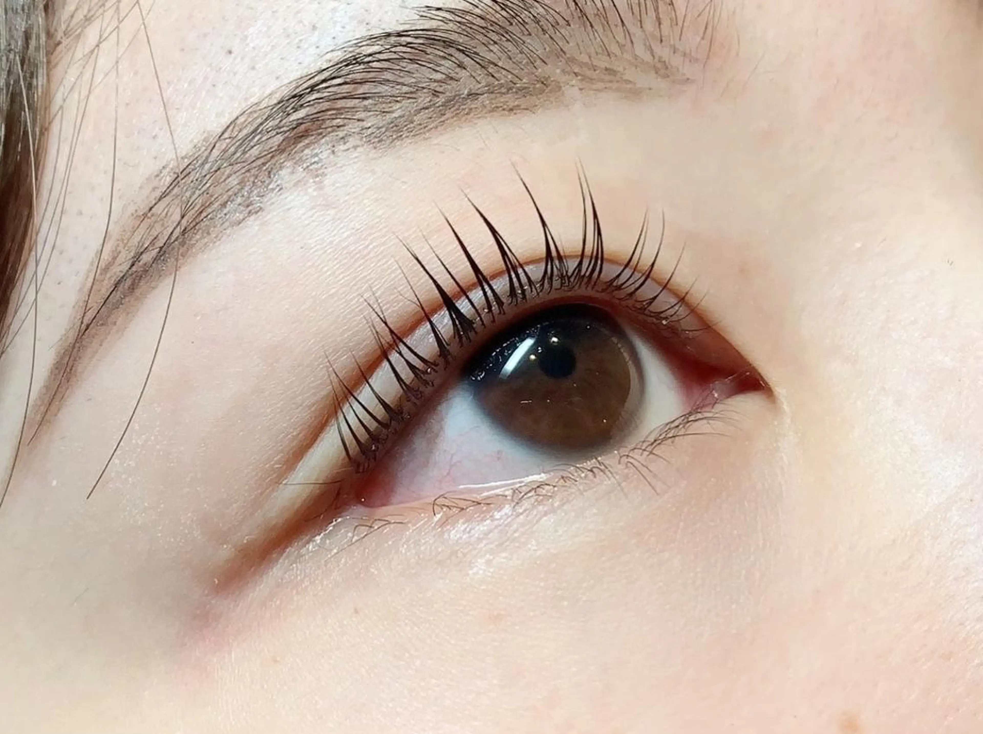 マツエク・マツパ GO TODAY 表参道Luce店所属・ラッシュリフト / eri🎀のマツエク・マツパデザイン