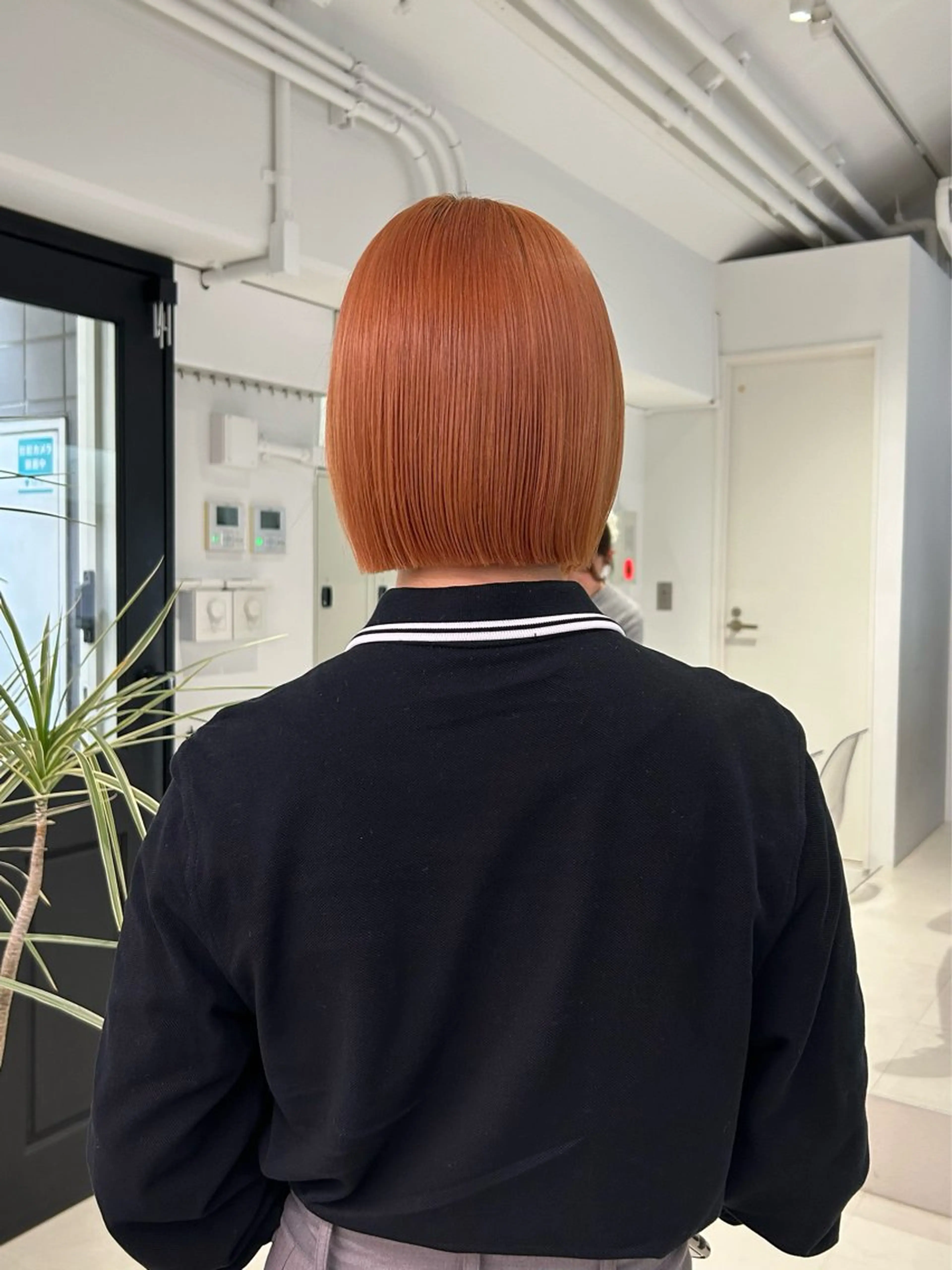 ショート カット トリートメント ショートカット/ ベージュ/moekaのヘアスタイル