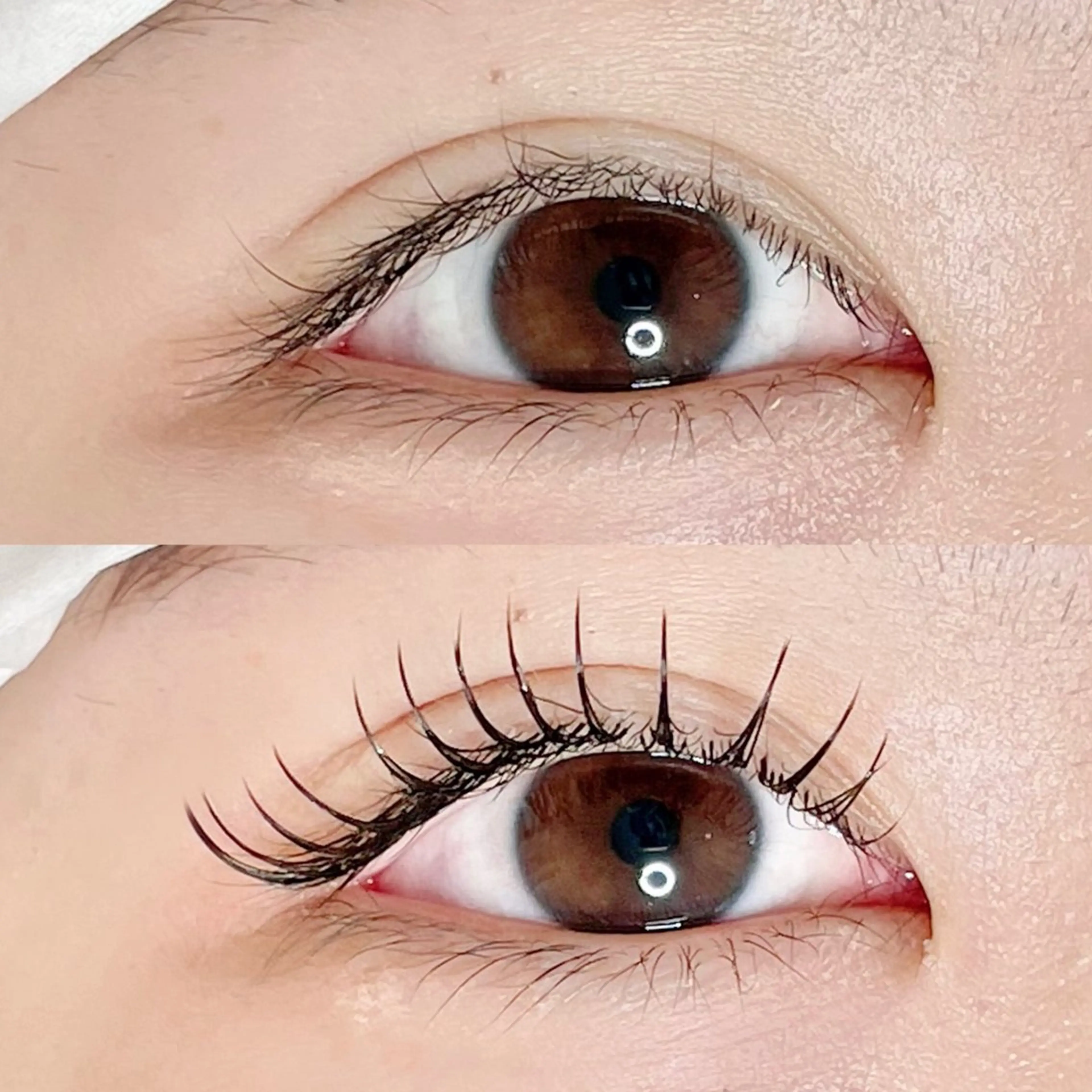 マツエク・マツパ マツエク AYLASH🧡 猪又のマツエク・マツパデザイン