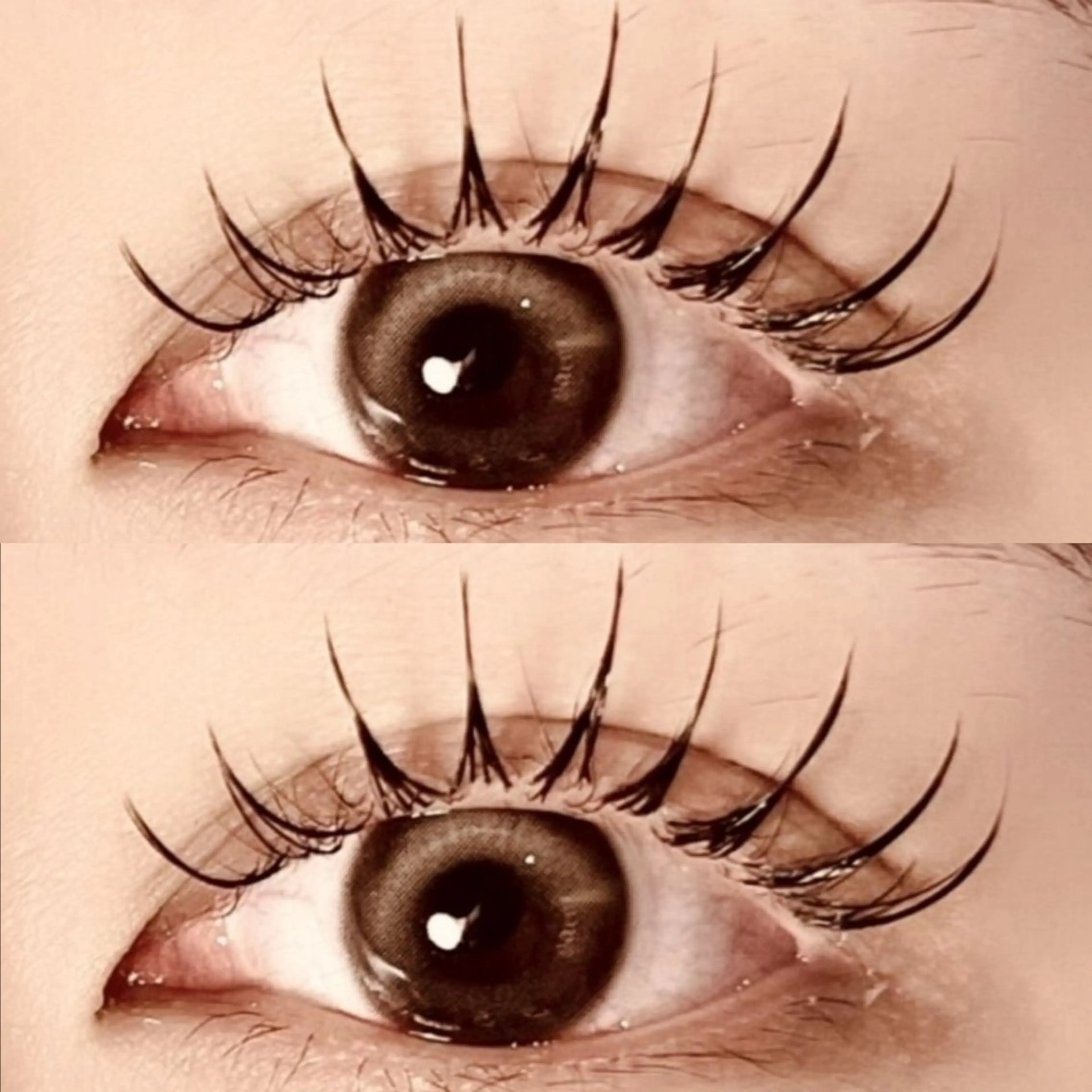 【&healthy】LEDエクステ100本 × マツパの写真