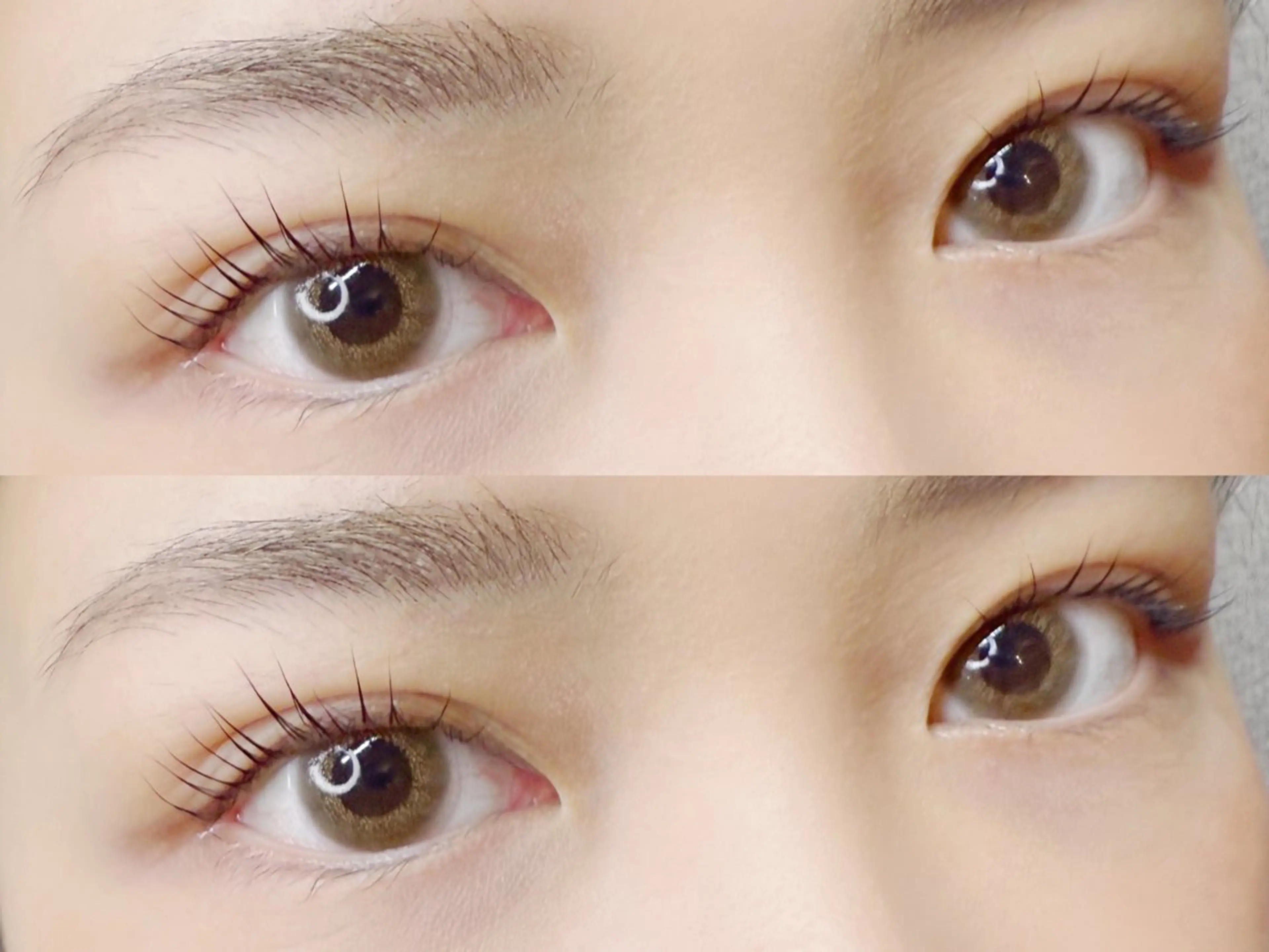 マツエク・マツパ パリジェンヌラッシュリフト Riialash.所属・Riko .のマツエク・マツパデザイン