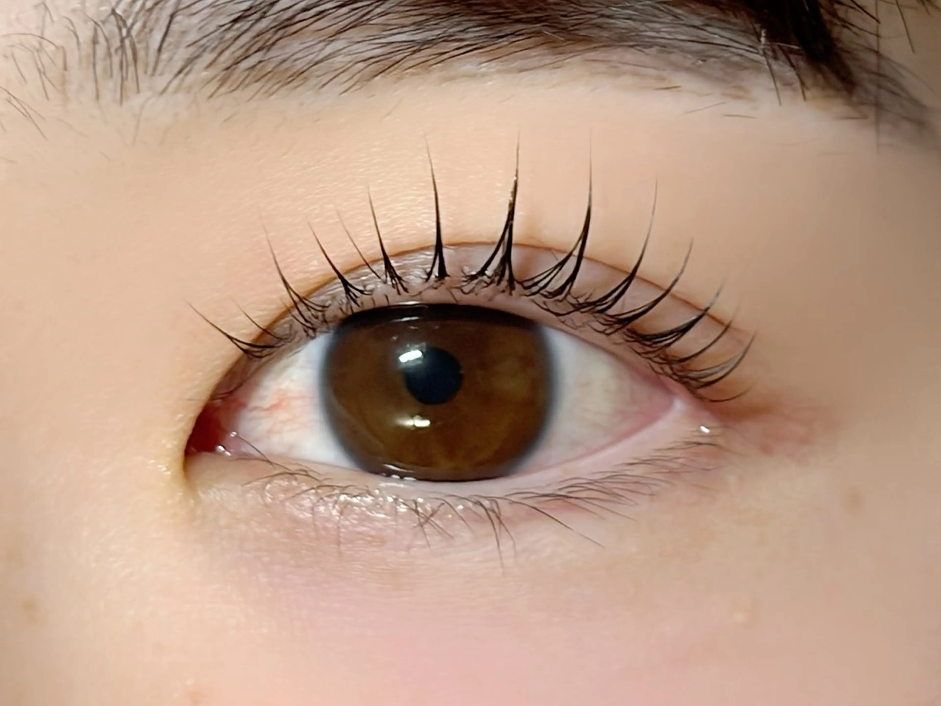 マツエク・マツパ マツパ Rinto/ makoのマツエク・マツパデザイン