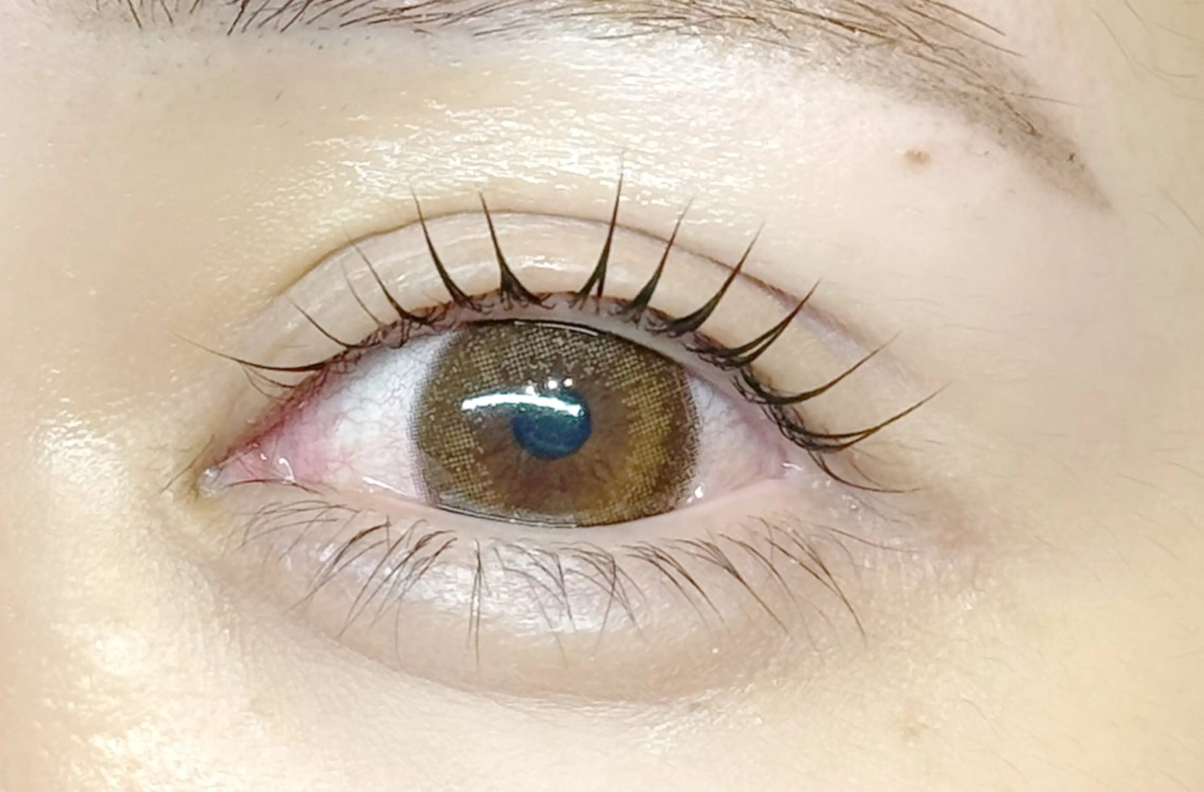 🤍🫧【パリジェンヌ】or【似合わせまつげパーマ】上下🤍🫧束感仕上げ付き‎🦄 ￥5,500の写真