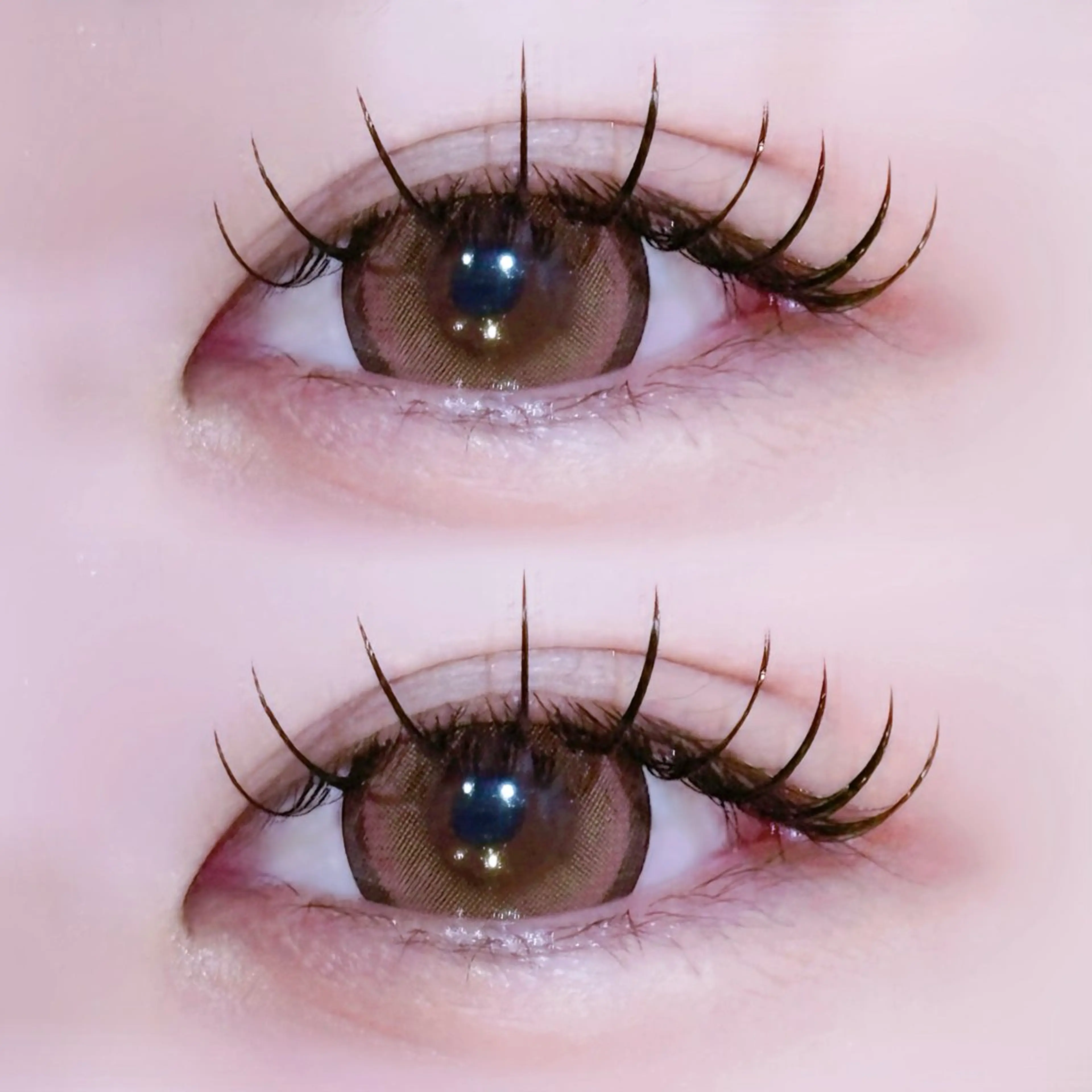 マツエク・マツパ EYELA🤍 蓜島のマツエク・マツパデザイン