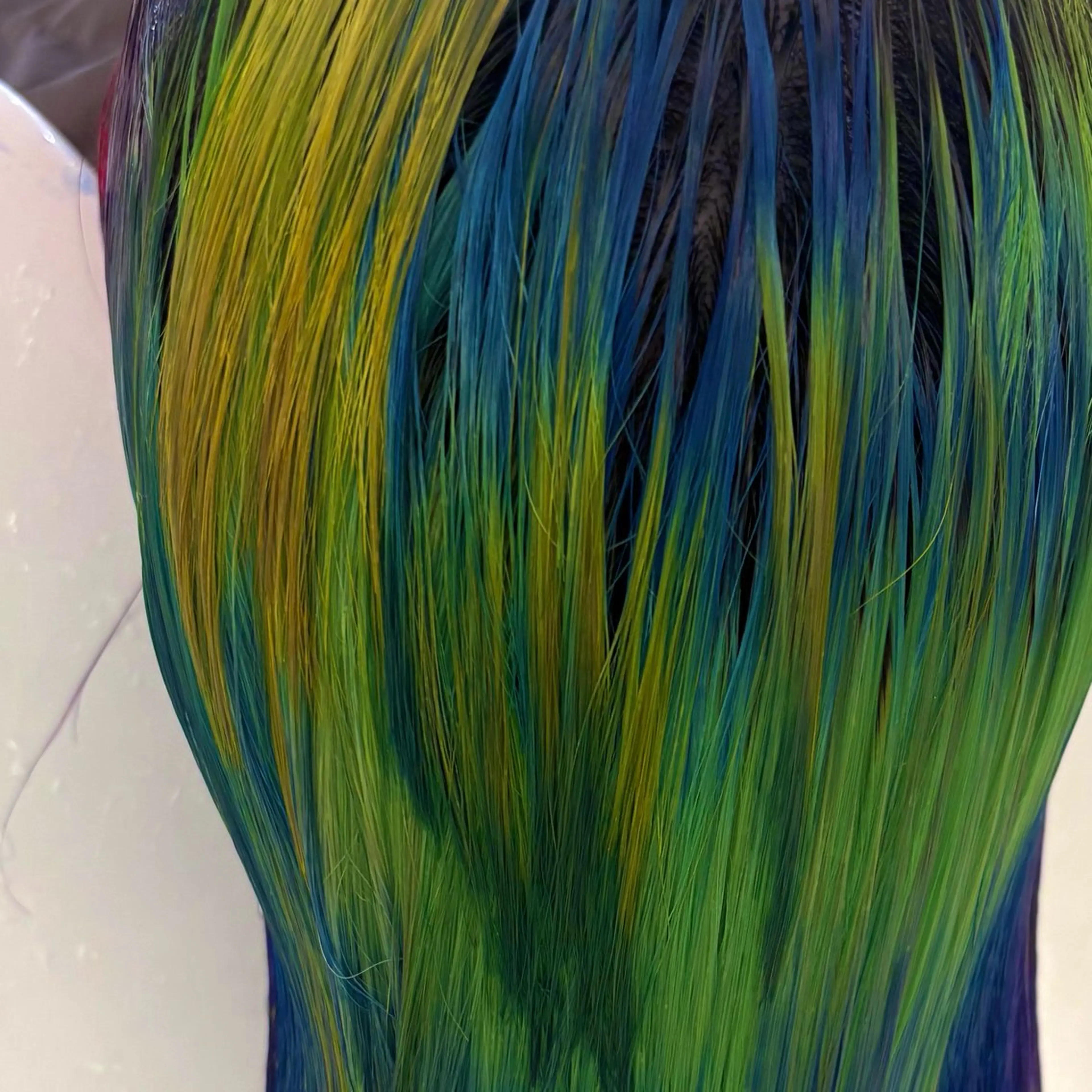 カラー ヘアカラー Kurumi🫟 / NORA UMEDAのヘアスタイル