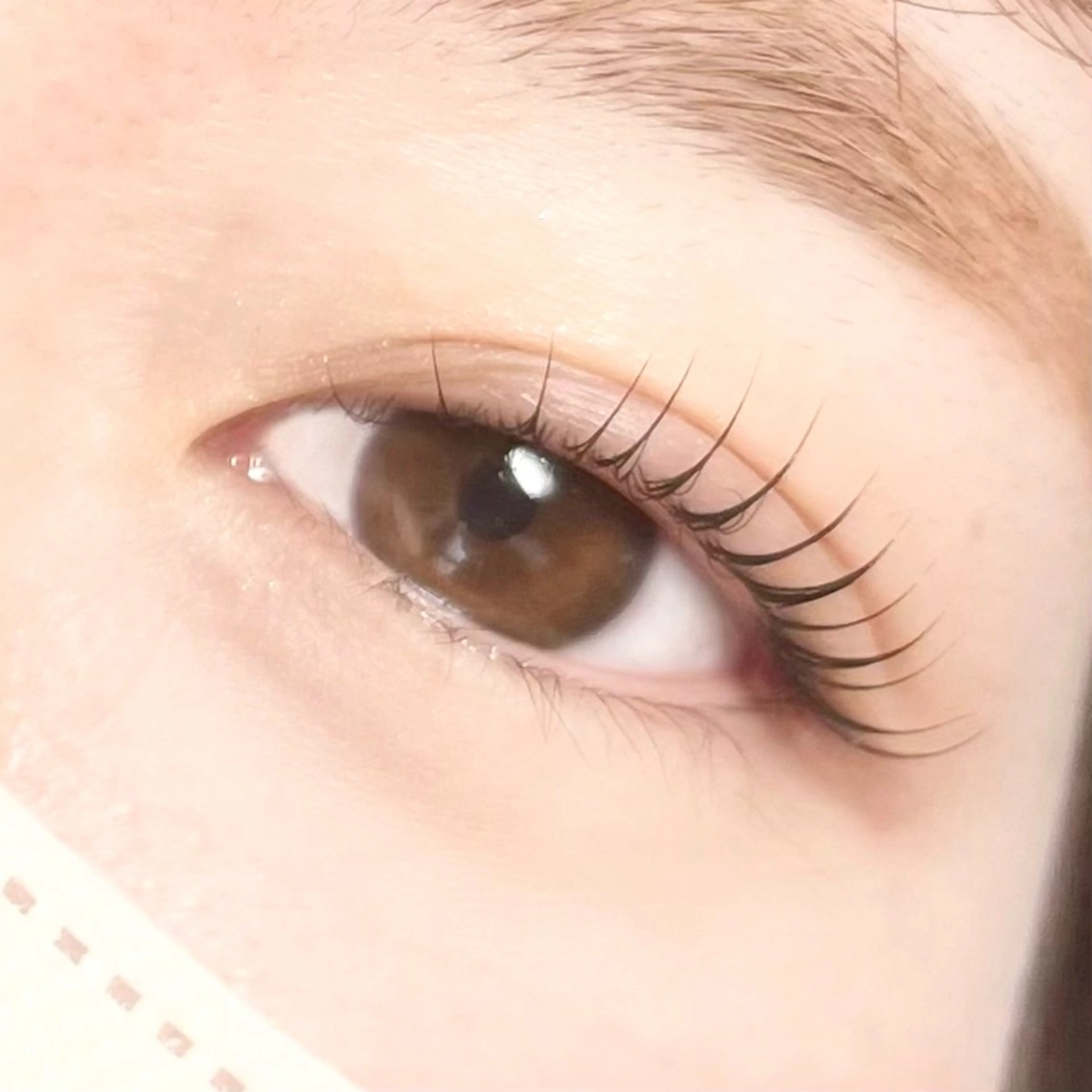 マツエク・マツパ マツパ 岸本 実奈のマツエク・マツパデザイン