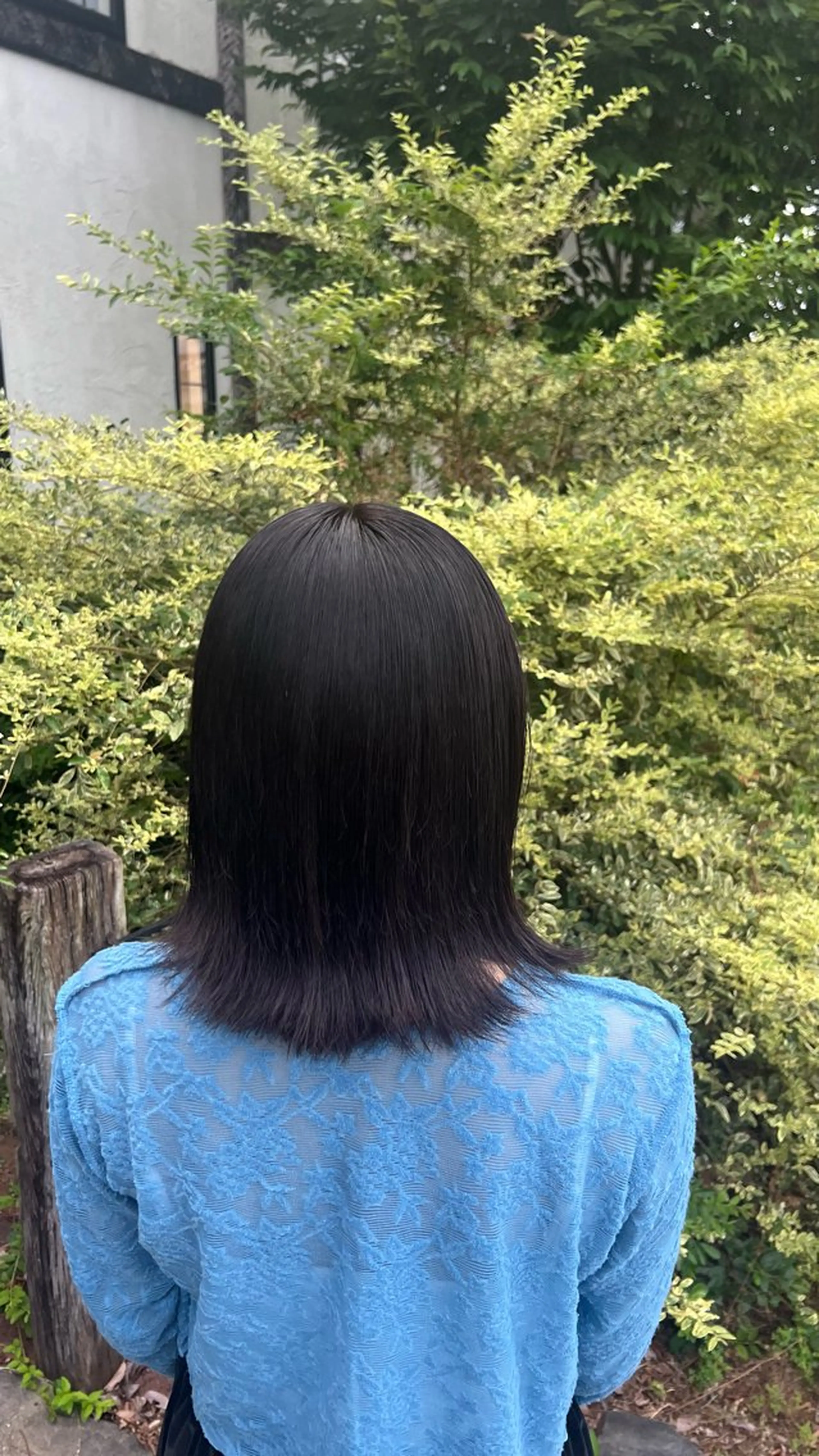 ミディアム いくみ/豊橋 /艶カラー/髪質改善のヘアスタイル