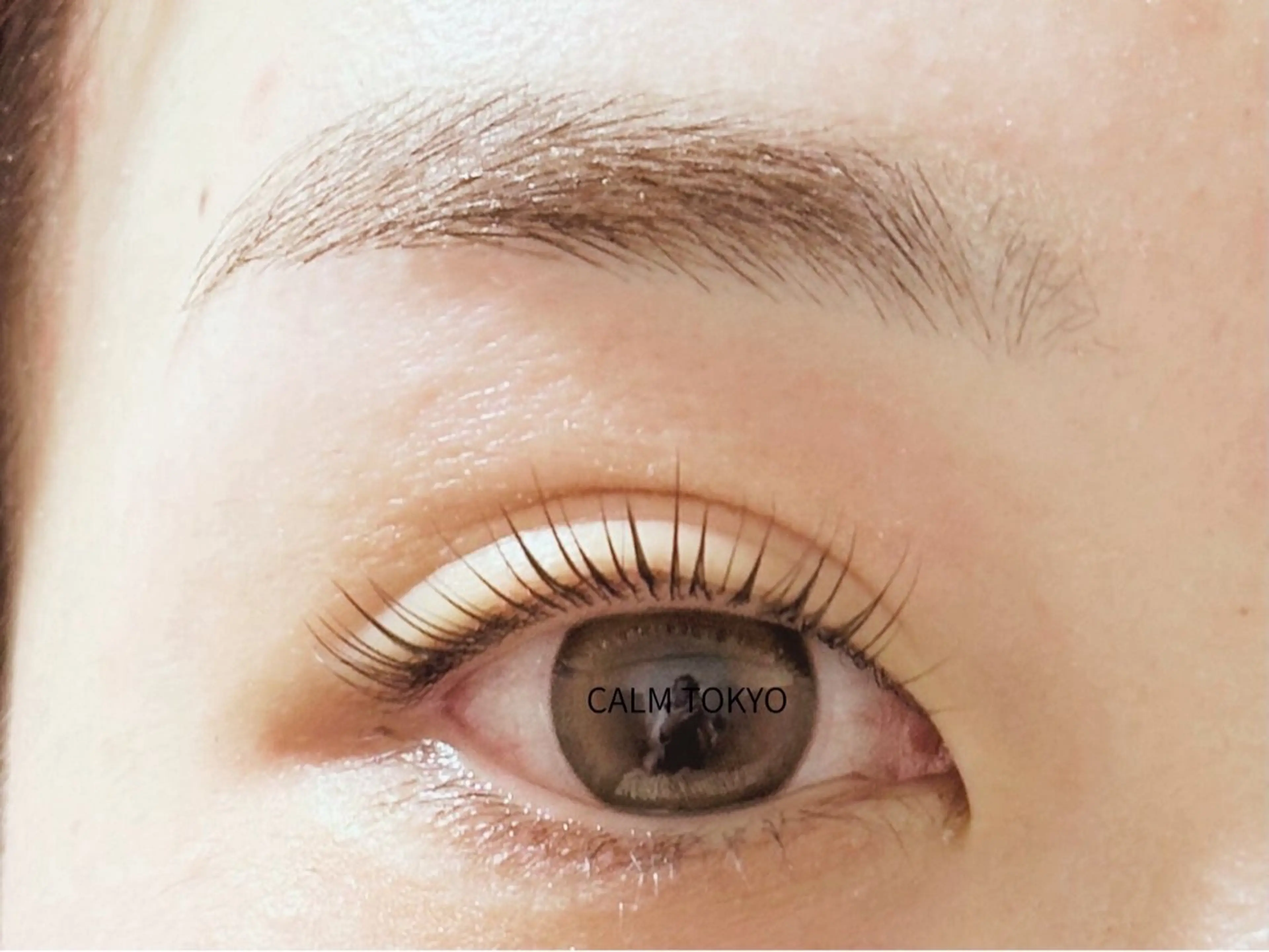 ✨✨まつ毛パーマ＋アイブロウワックス✨描きやすい眉と上品まつ毛の写真