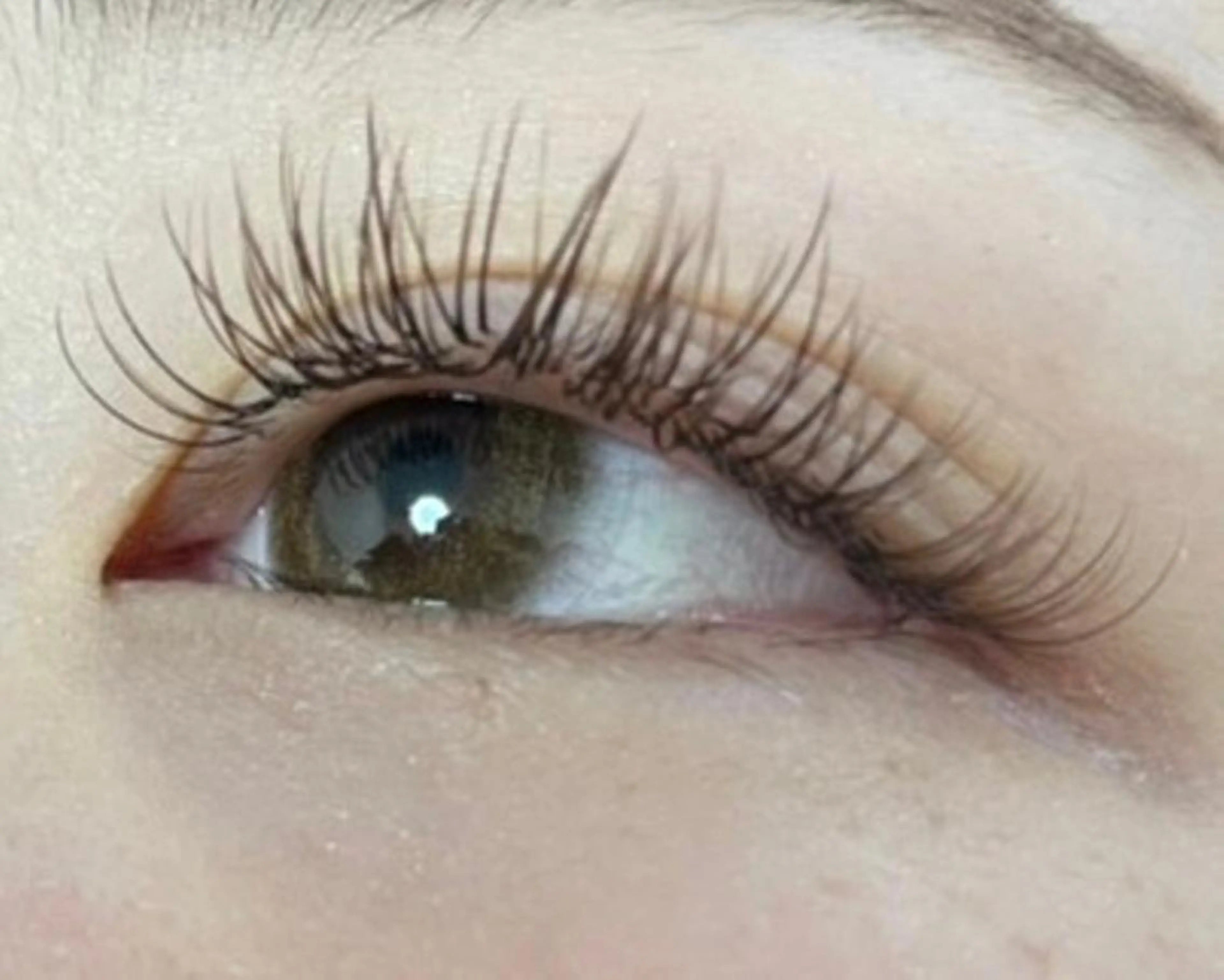 フラットラッシュ 120本の写真