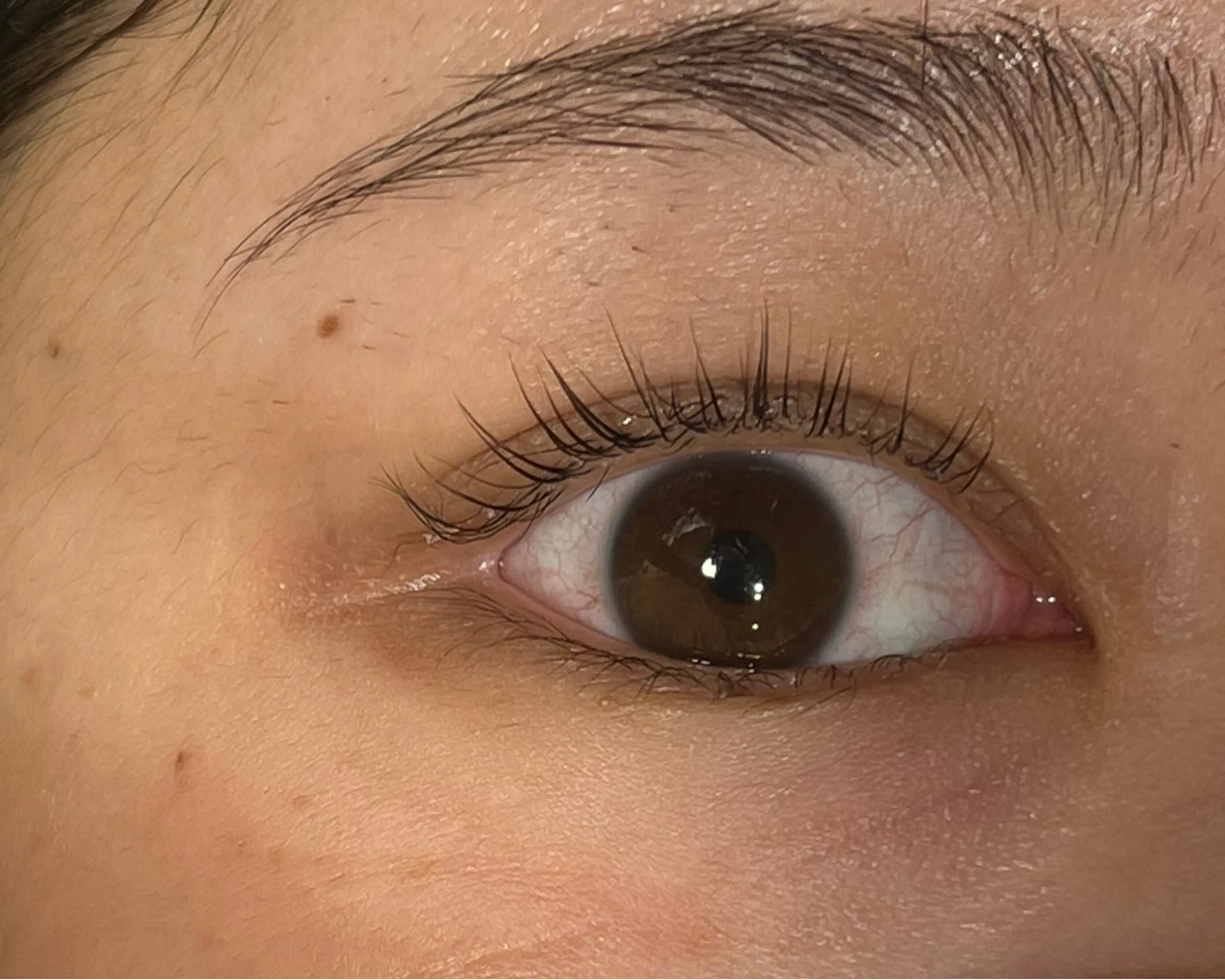 マツエク・マツパ AWANIKO byNOA浦添店所属・ノア 浦添の眉毛・アイブロウイメージ